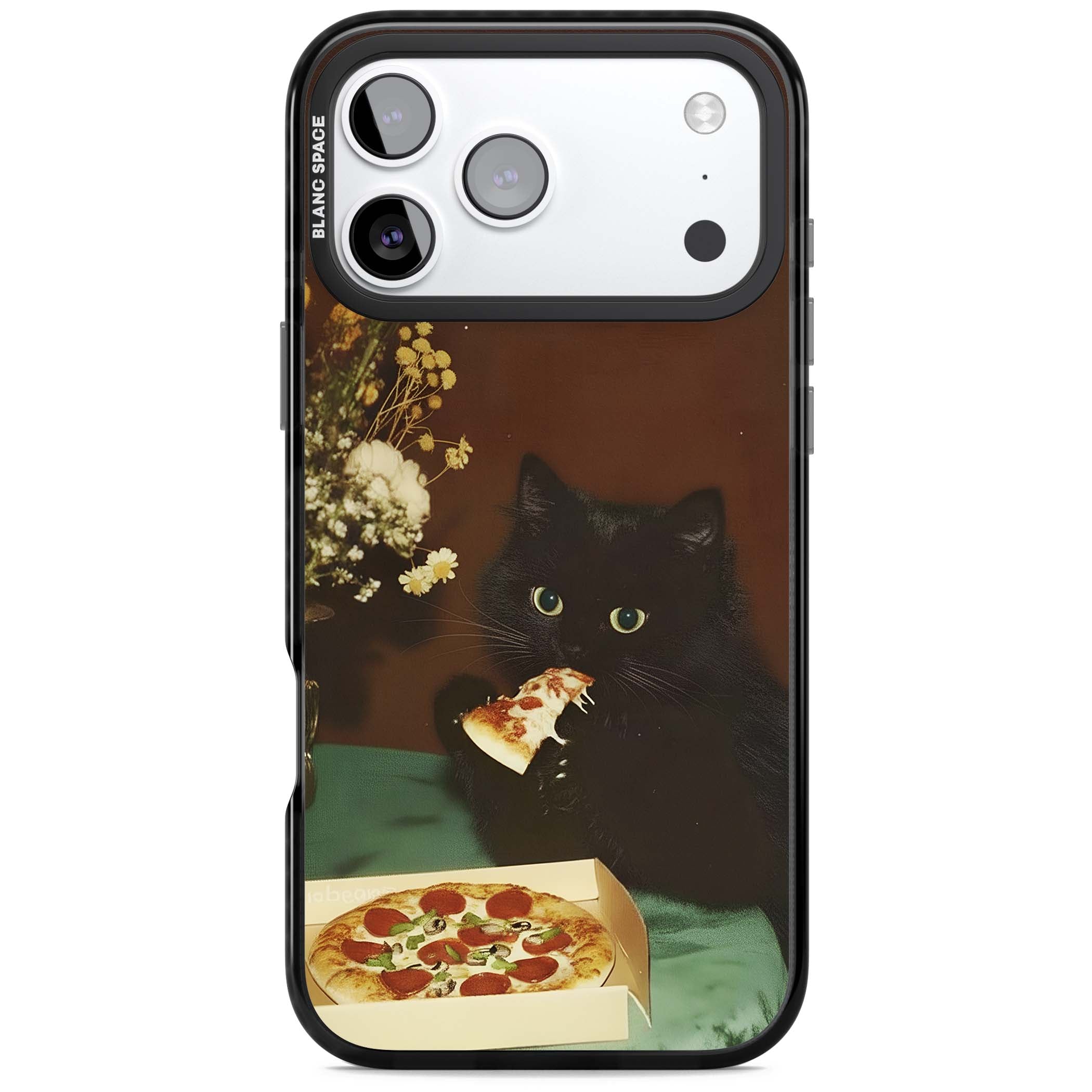 Late Night Snack Cat