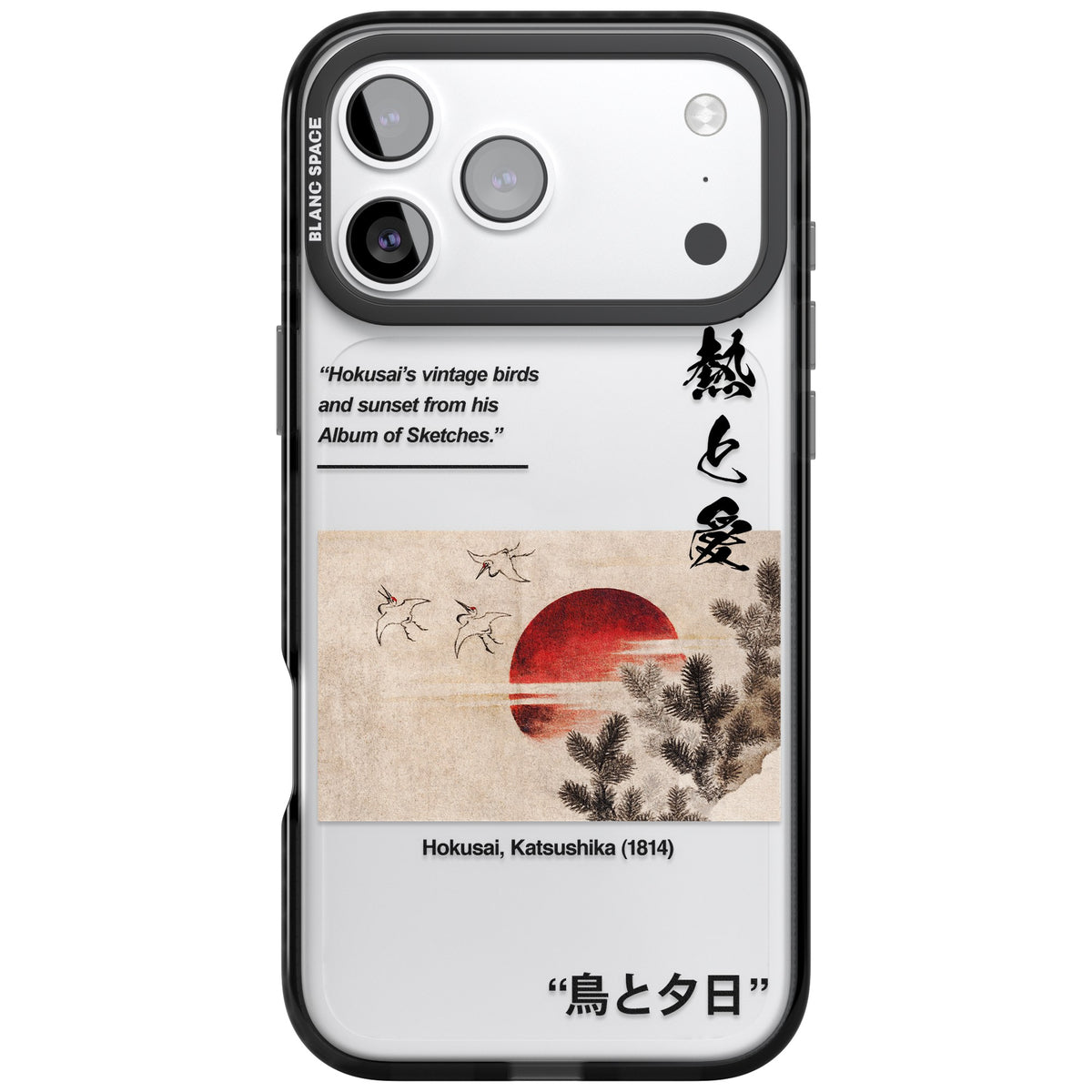 Birds And Sunset iPhone 17 Pro Max Impact Black Phone Case front