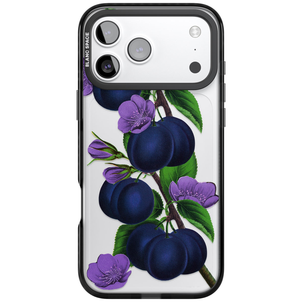 Vintage Painted Plums iPhone 17 Pro Max Impact Black Phone Case front