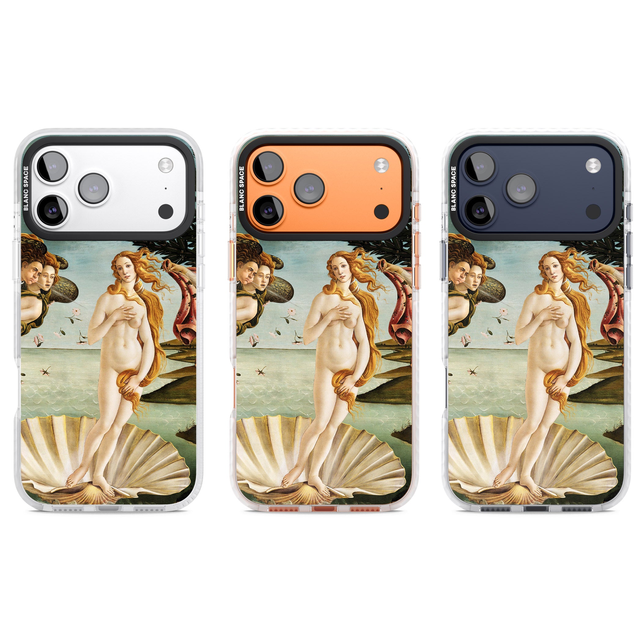 The Birth of Venus - Sandro Botticelli iPhone 17 Pro Impact Clear Phone Case APT Impact Protection