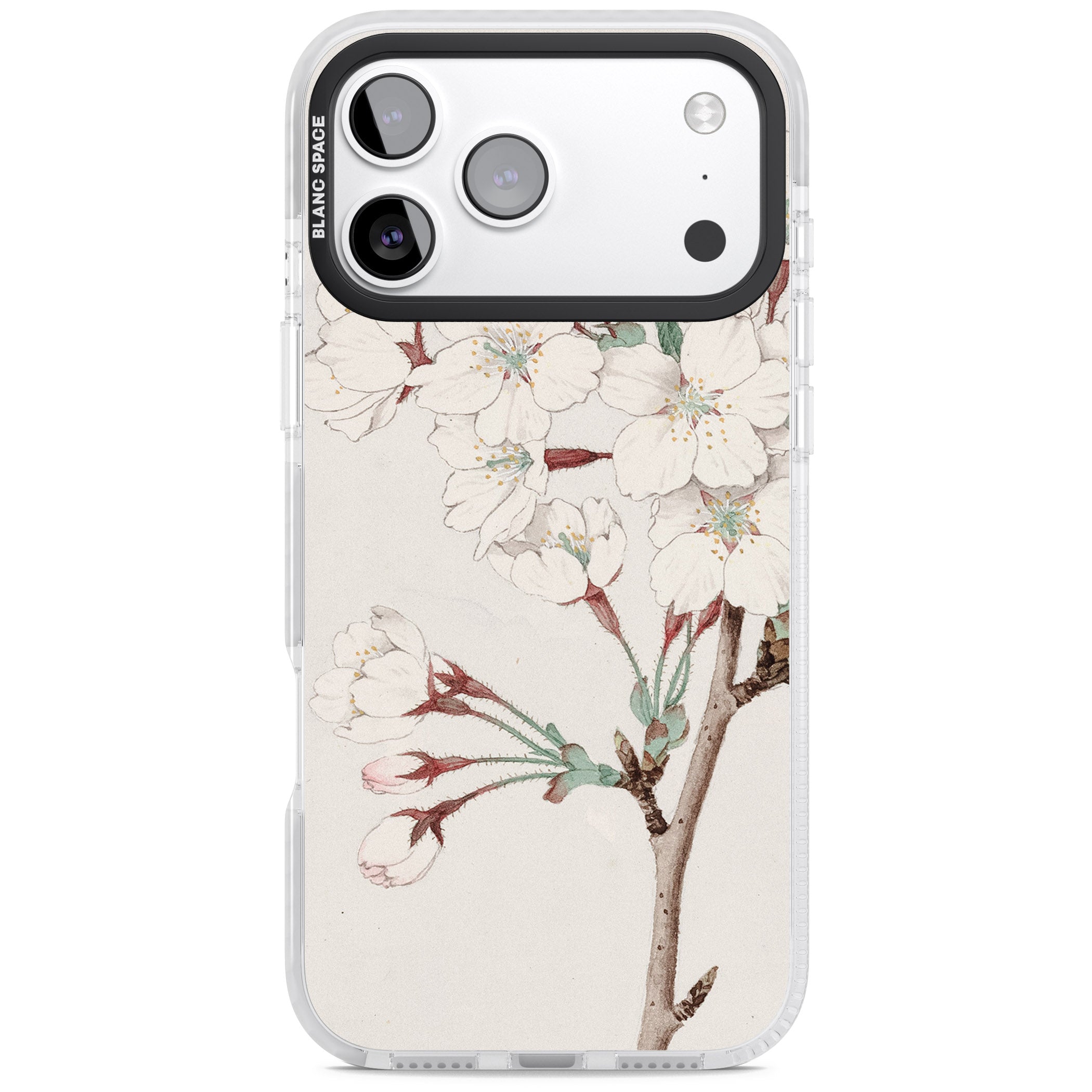 Vintage Japanese Illustrations Cherry Blossoms iPhone 17 Pro Impact Clear Phone Case
