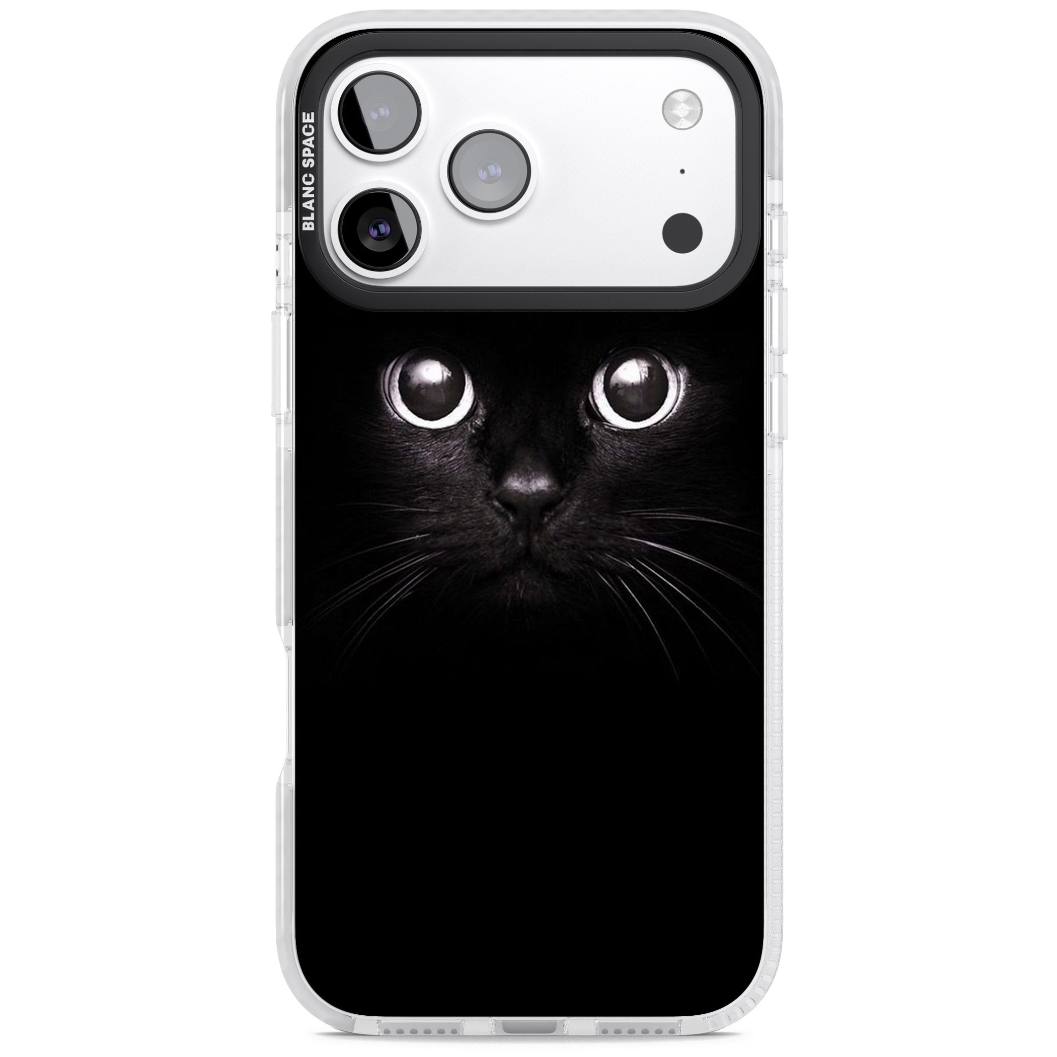 Black Cat iPhone 17 Pro Impact Pro Clear Phone Case