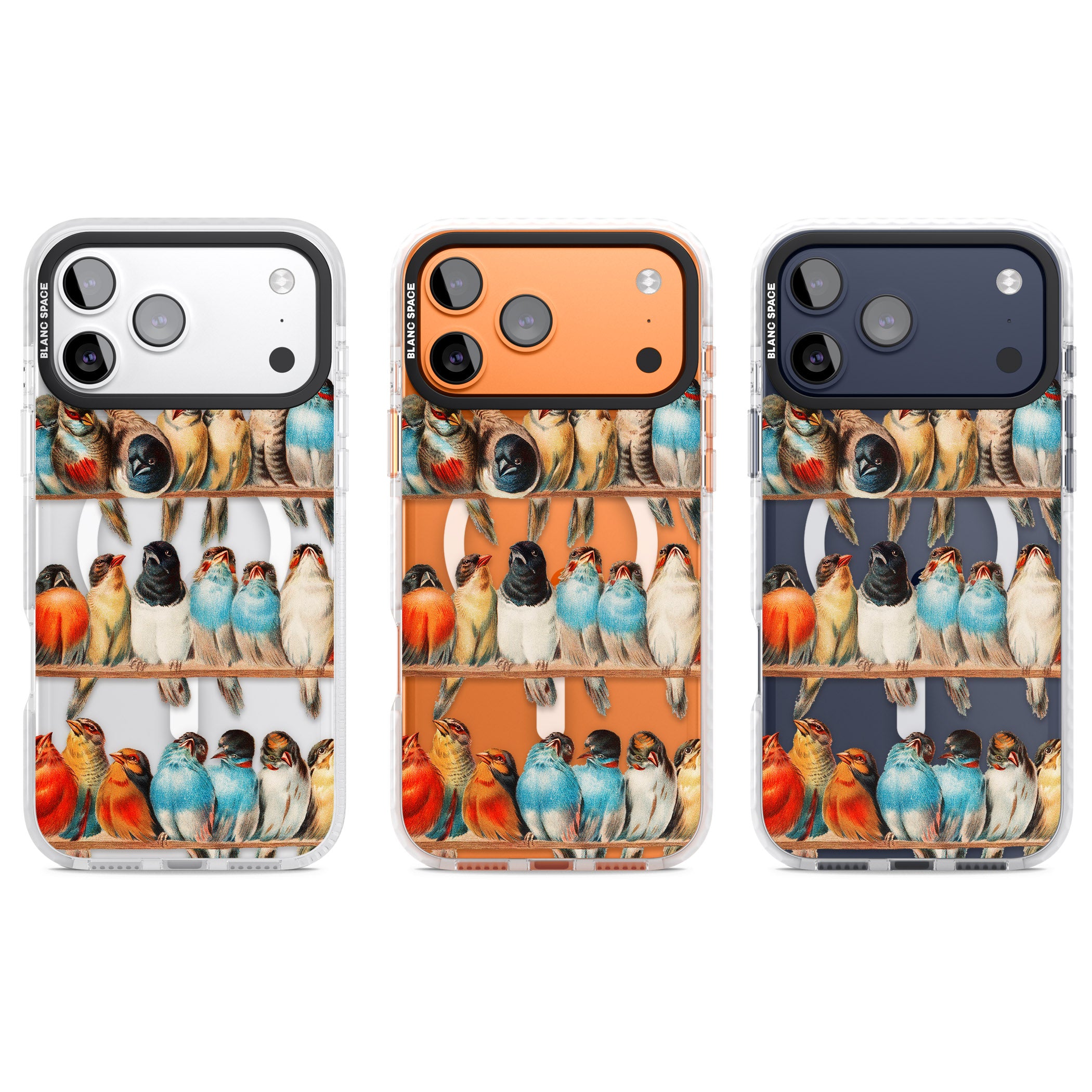 A Perch Of Birds iPhone 17 Pro Impact Pro Clear Phone Case APT Impact Protection
