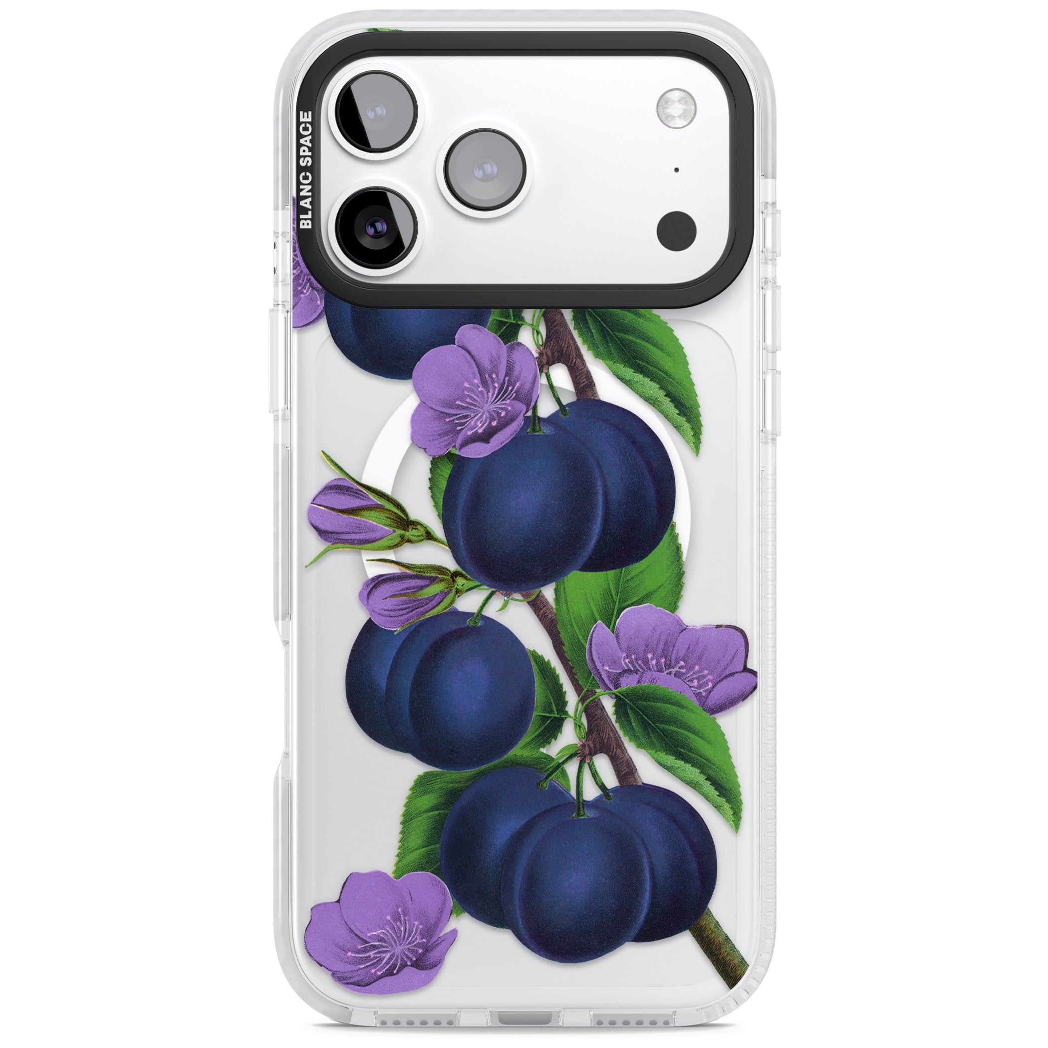 Vintage Painted Plums iPhone 17 Pro Impact Pro Clear Phone Case