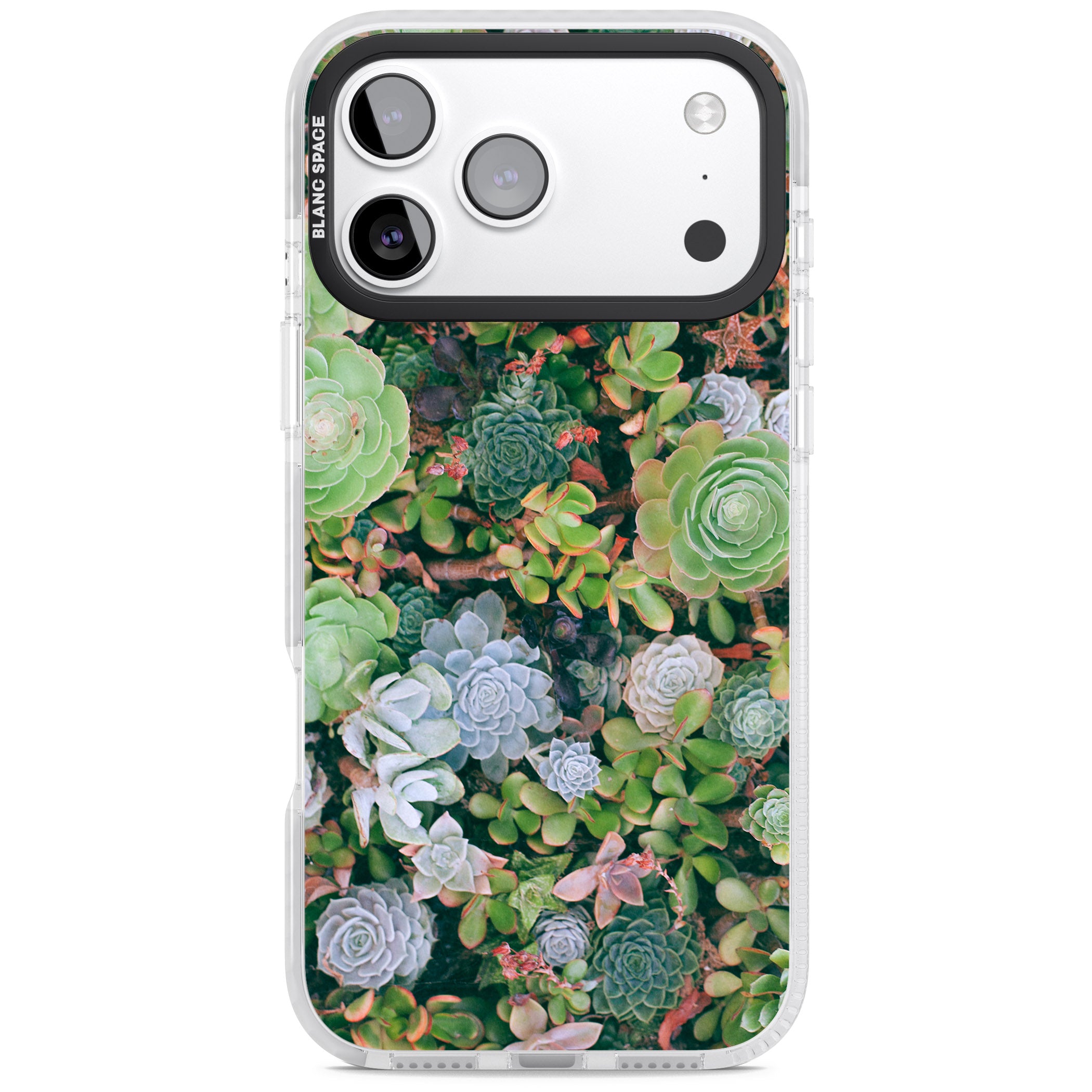 Succulent Garden iPhone 17 Pro Impact Clear Phone Case