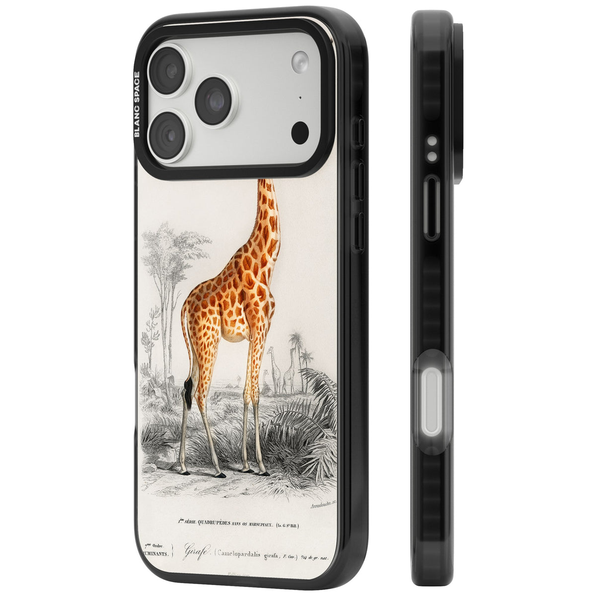 Savanna Sketch iPhone 18 Pro Max Impact Pro Black Phone Case side