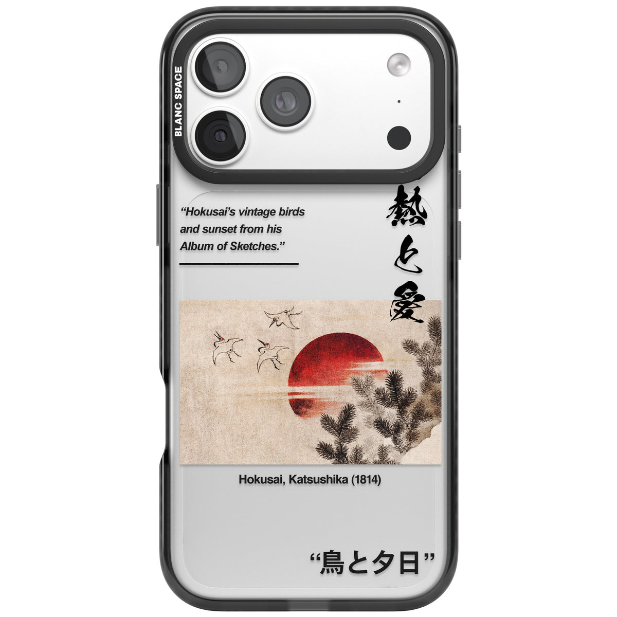 Birds And Sunset iPhone 18 Pro Max Impact Black Phone Case front