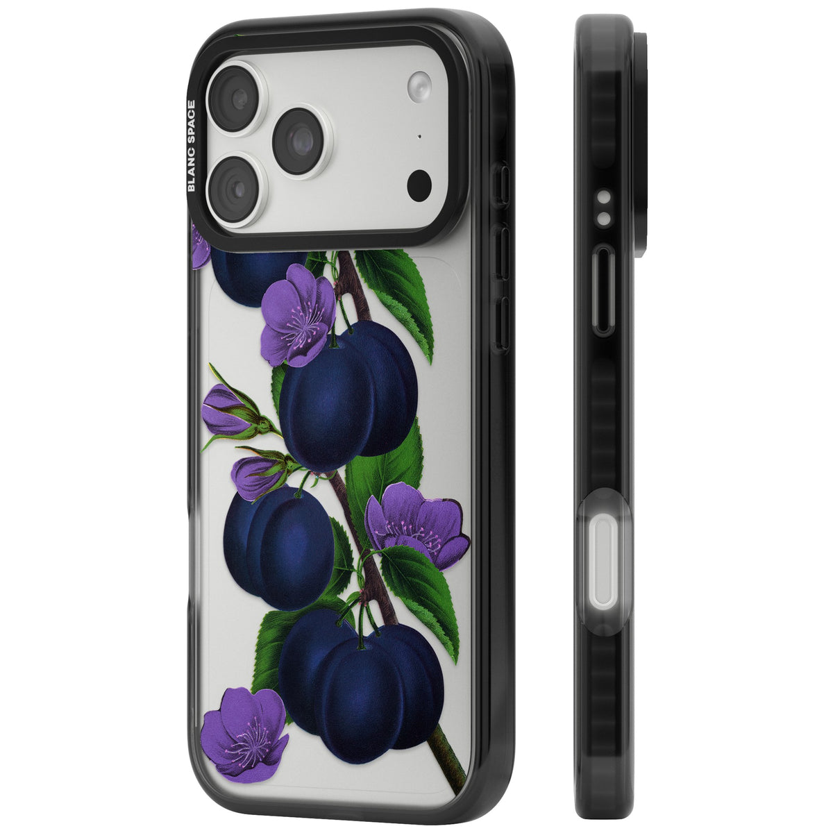 Vintage Painted Plums iPhone 18 Pro Max Impact Black Phone Case side