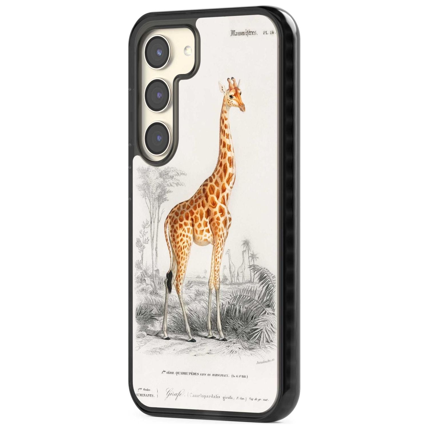 Vintage Giraffe Art
