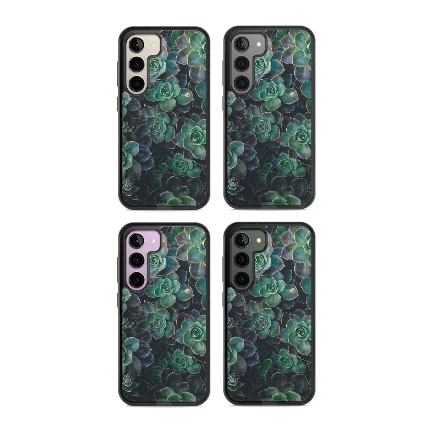 Succulent Bloom Botanical