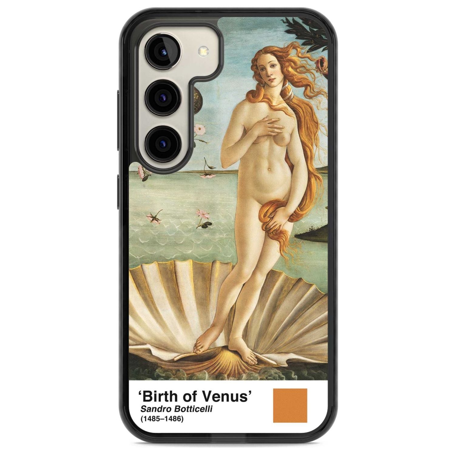 The Birth Of Venus