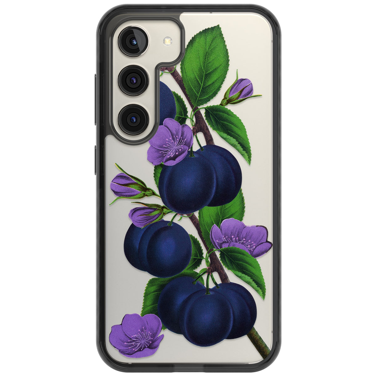 Vintage Painted Plums Samsung S22 / Samsung S22 Plus / Samsung S23 / Samsung S23 Plus / Samsung S24 / Samsung S24 Plus Impact Black Phone Case front