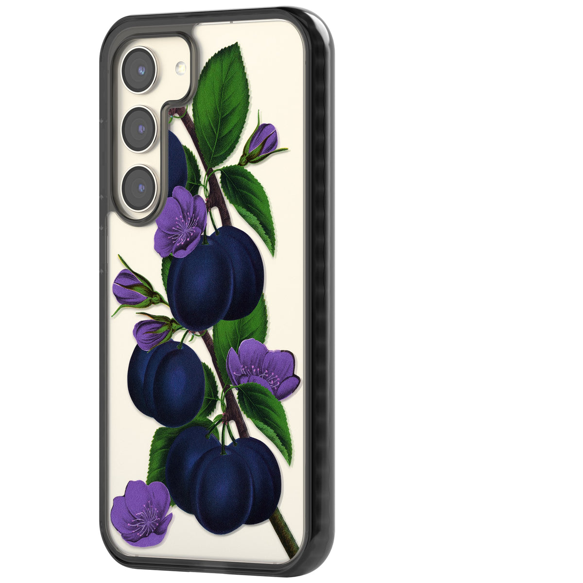 Vintage Painted Plums Samsung S22 / Samsung S22 Plus / Samsung S23 / Samsung S23 Plus / Samsung S24 / Samsung S24 Plus Impact Black Phone Case side