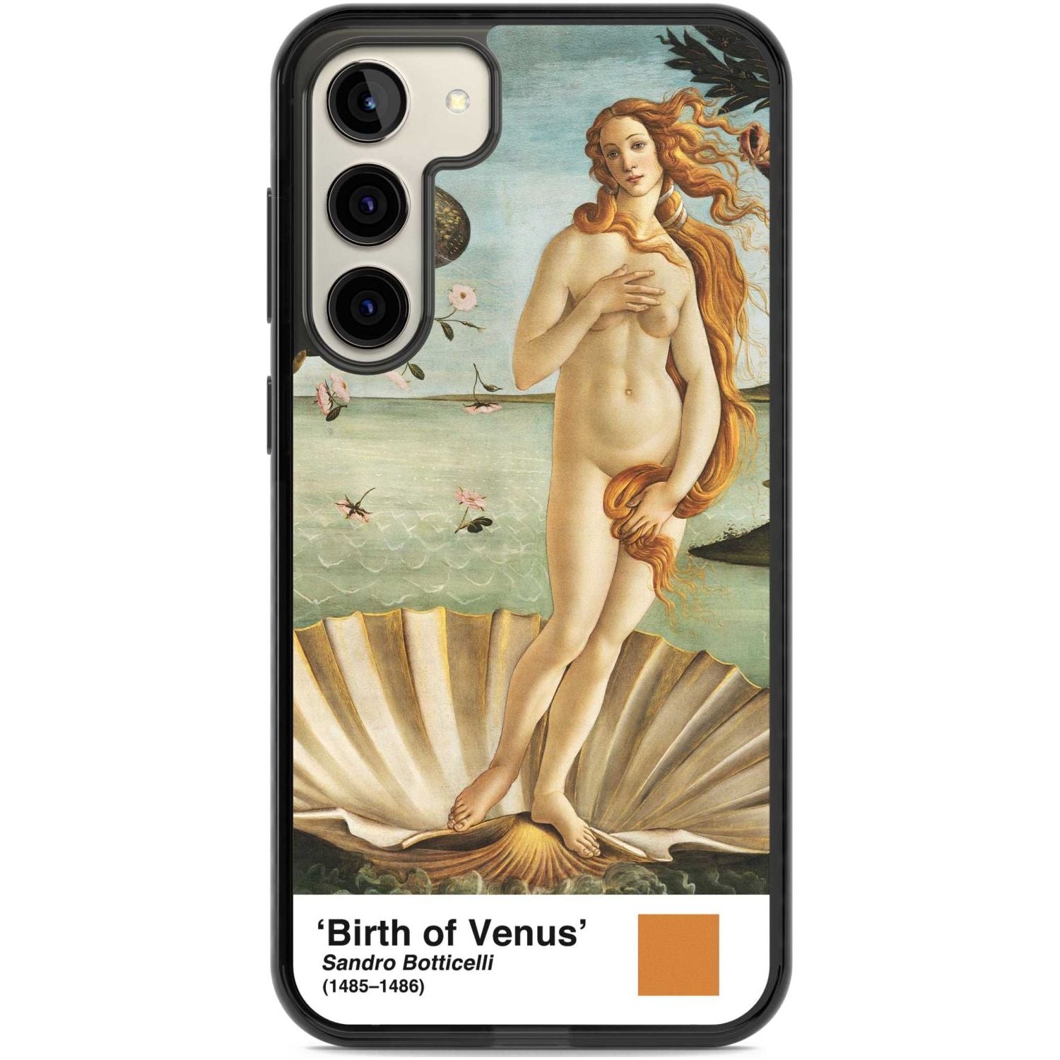 The Birth Of Venus