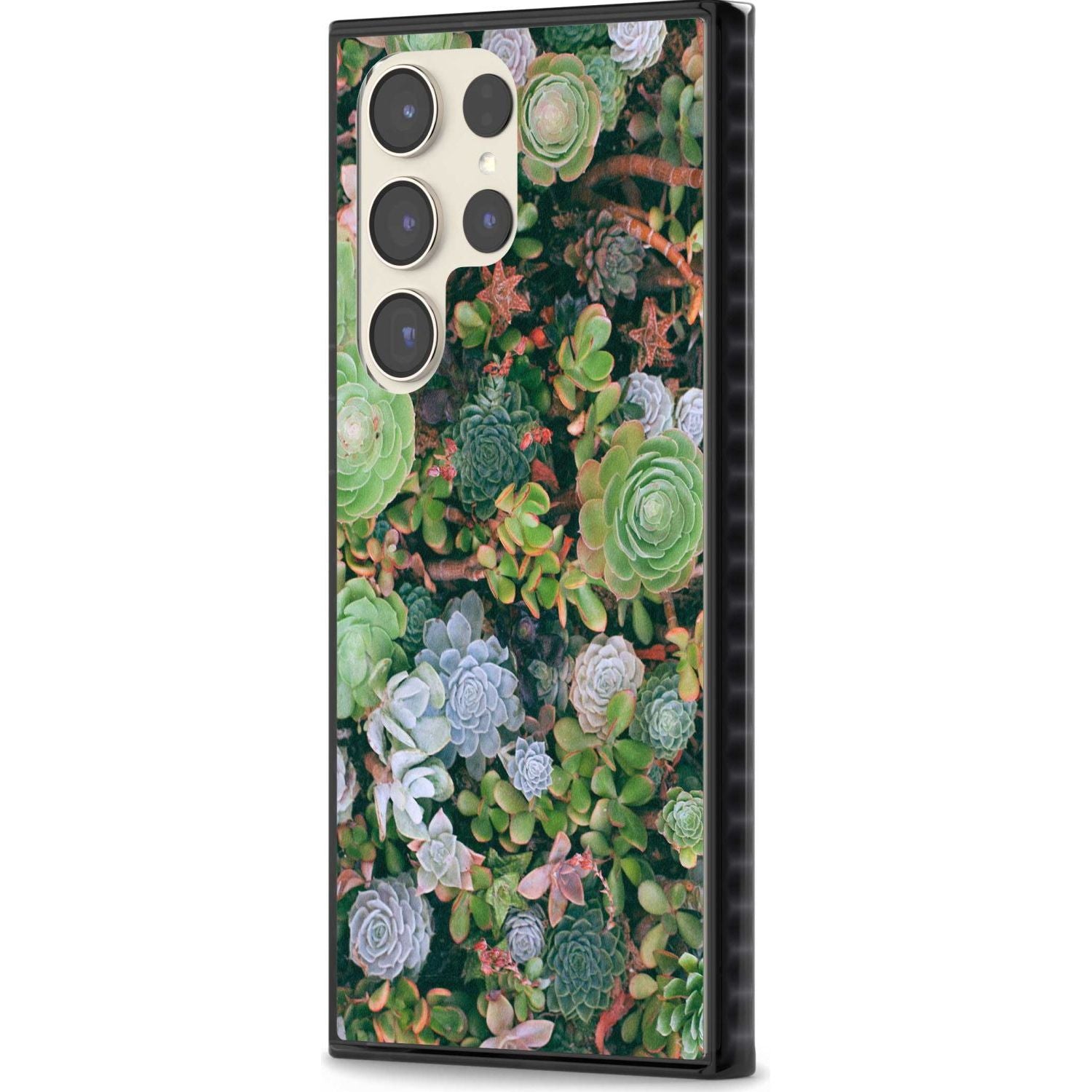 Colourful Succulents Phone Case iPhone 15 Pro Max / Black Impact Case,iPhone 15 Plus / Black Impact Case,iPhone 15 Pro / Black Impact Case,iPhone 15 / Black Impact Case,iPhone 15 Pro Max / Impact Case,iPhone 15 Plus / Impact Case,iPhone 15 Pro / Impact Case,iPhone 15 / Impact Case,iPhone 15 Pro Max / Magsafe Black Impact Case,iPhone 15 Plus / Magsafe Black Impact Case,iPhone 15 Pro / Magsafe Black Impact Case,iPhone 15 / Magsafe Black Impact Case,iPhone 14 Pro Max / Black Impact Case,iPhone 14 Plus / Black