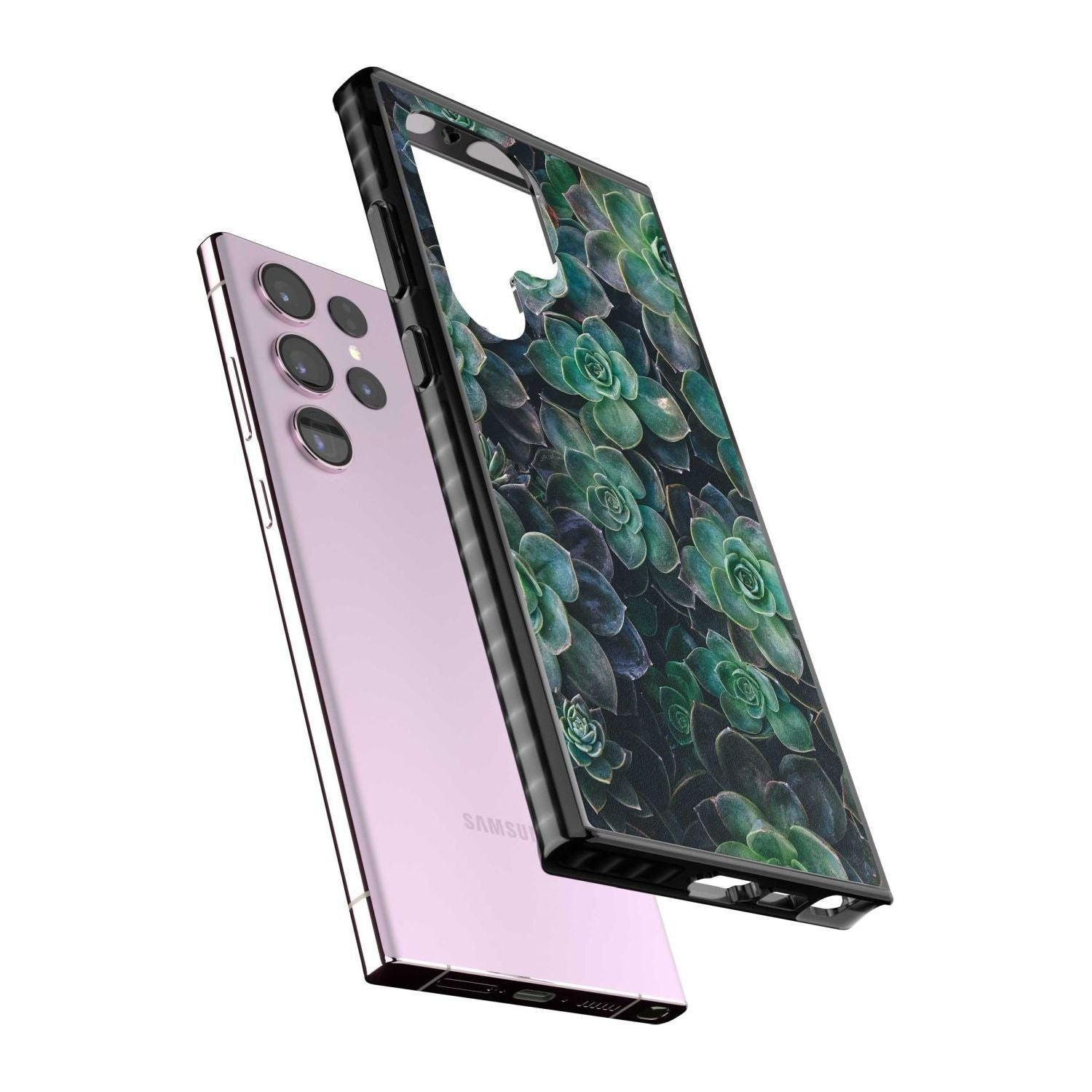 Succulent Bloom Botanical