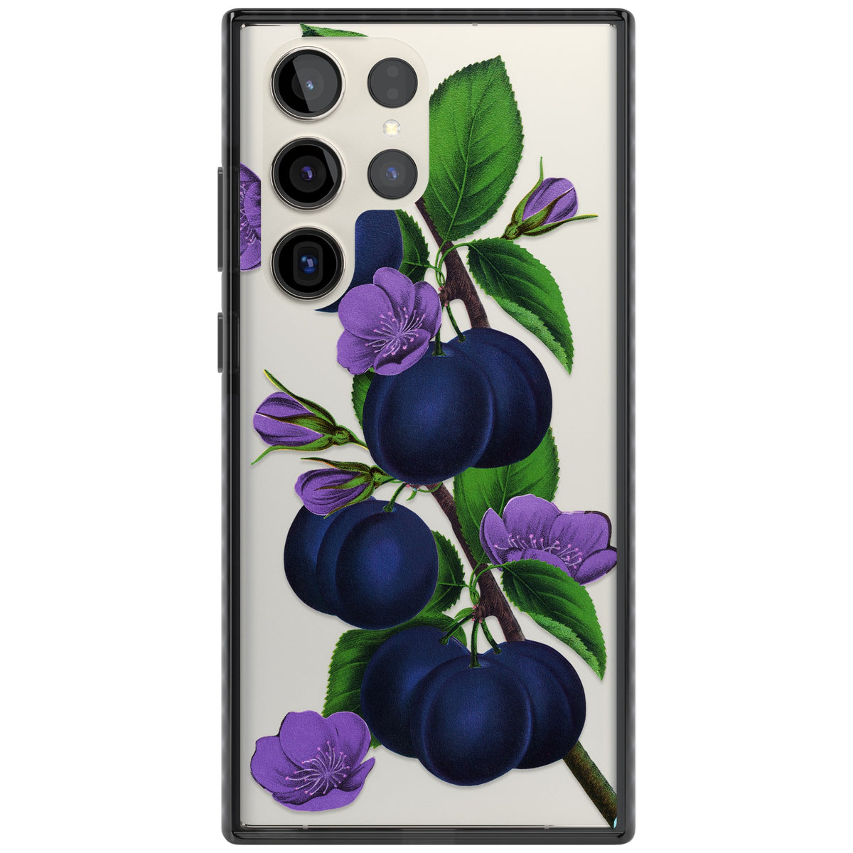 Vintage Painted Plums Samsung S22 Ultra / Samsung S23 Ultra / Samsung S24 Ultra Impact Black Phone Case front