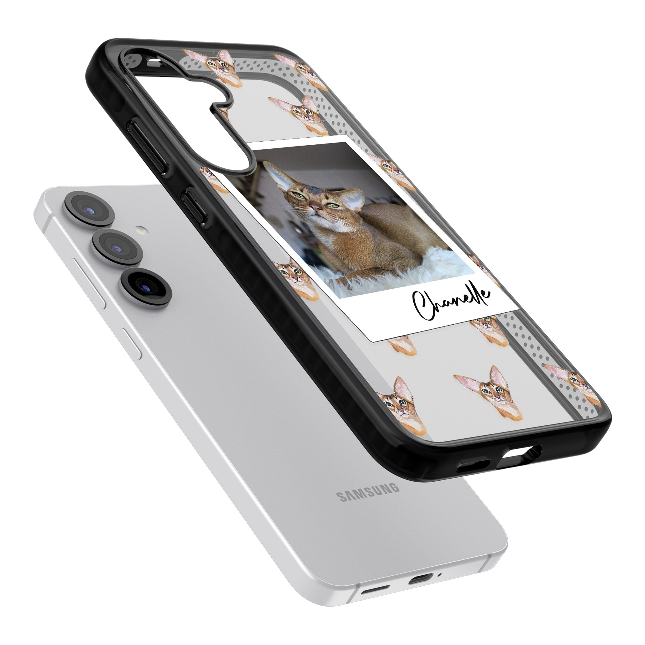 Personalised Abyssinian Cat Photo