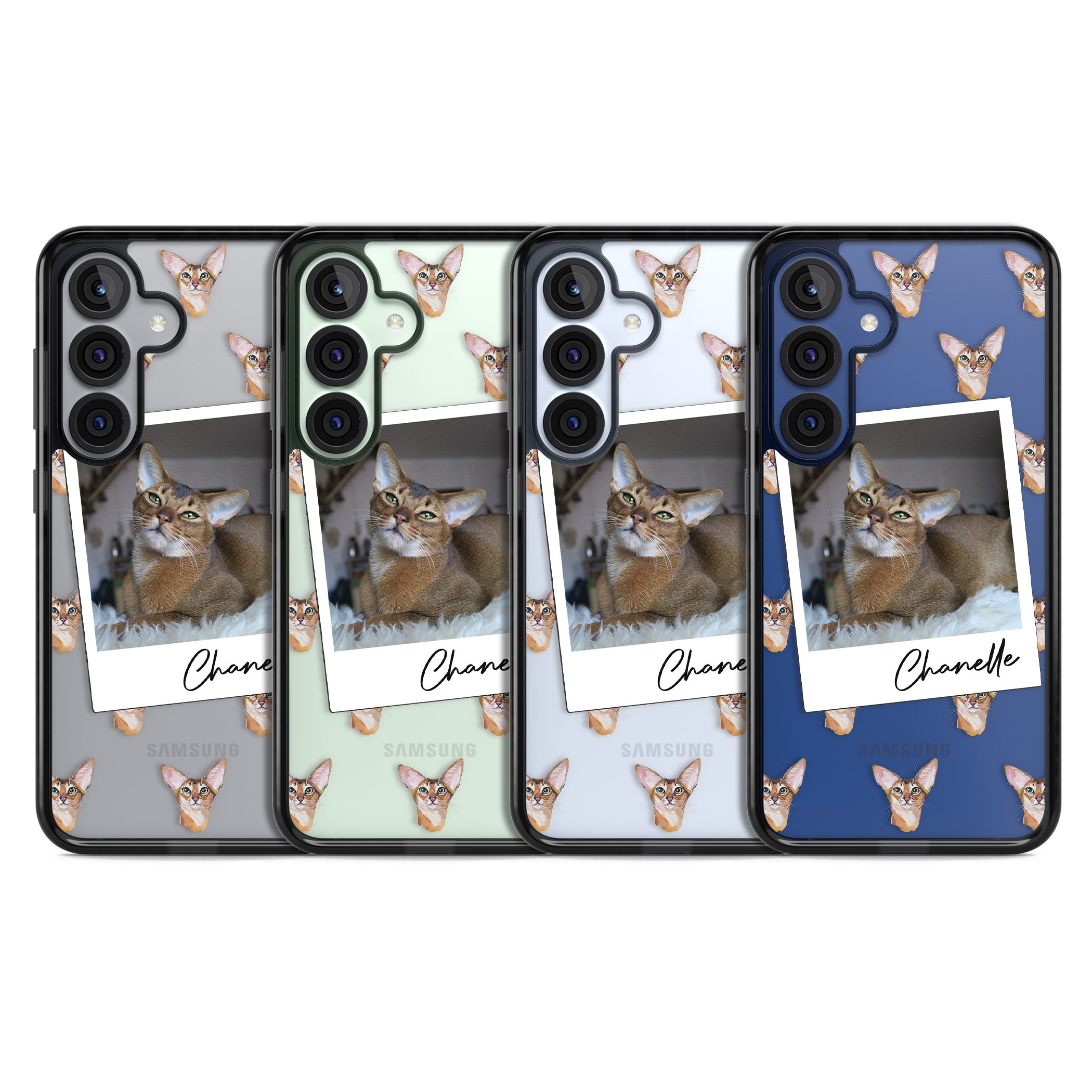 Personalised Abyssinian Cat Photo