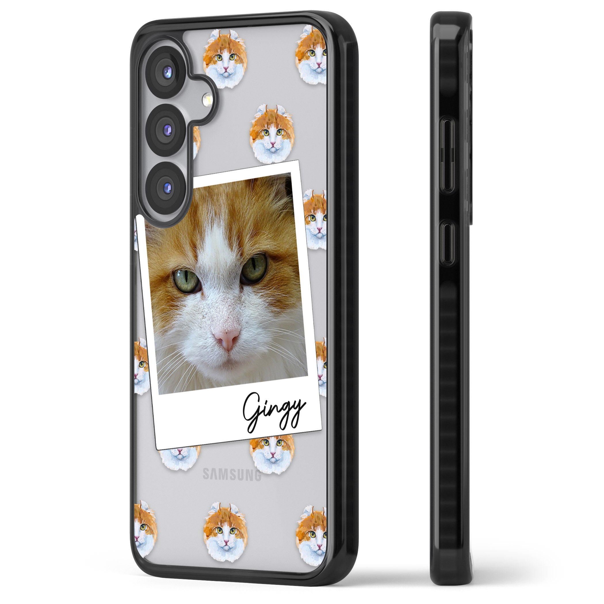 Personalised American Curl Photo