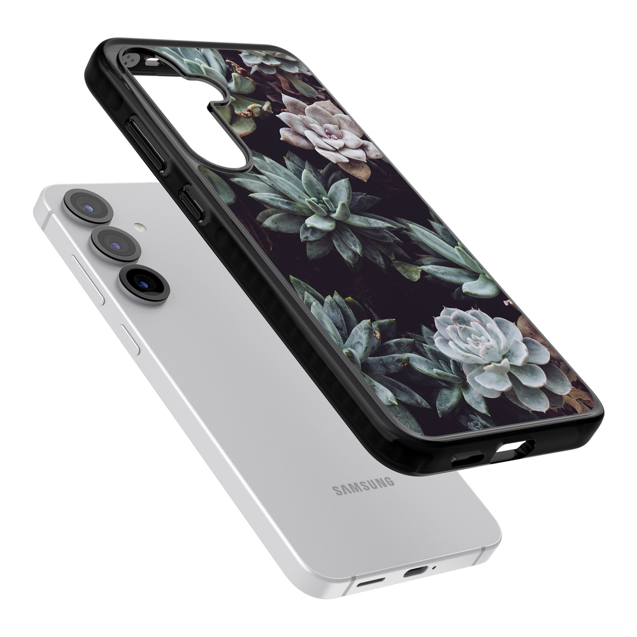 Succulent Bloom Mixed