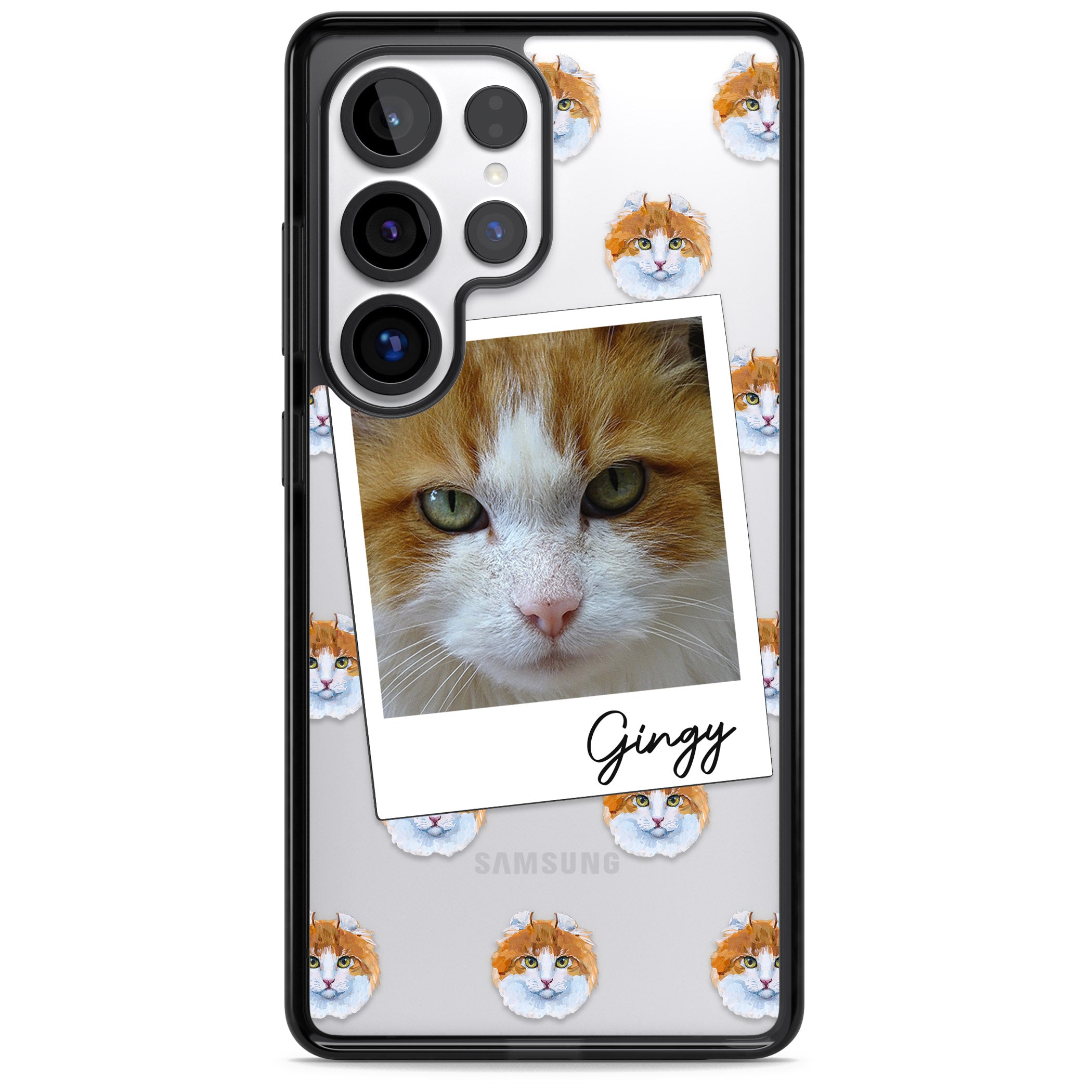 Personalised American Curl Photo