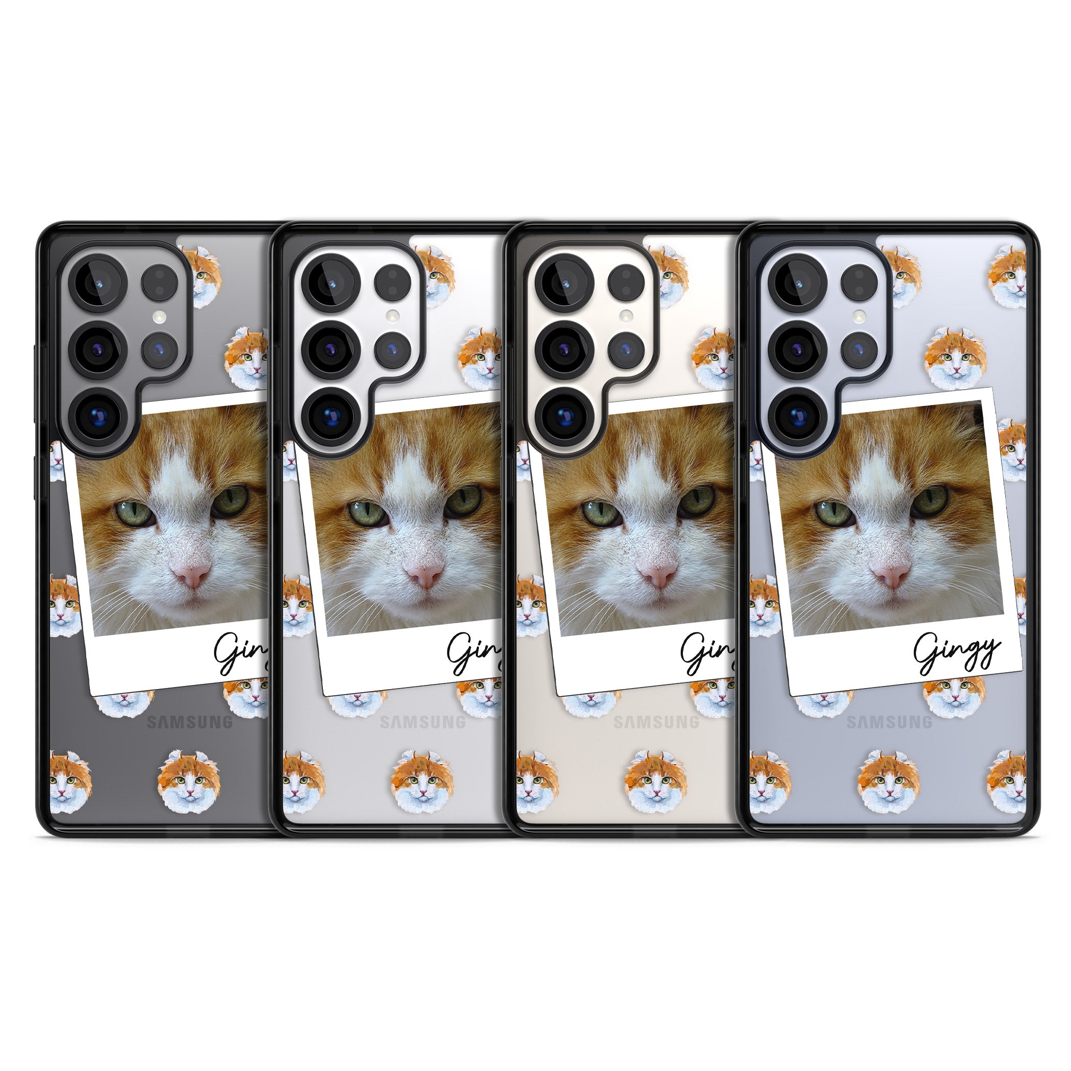 Personalised American Curl Photo