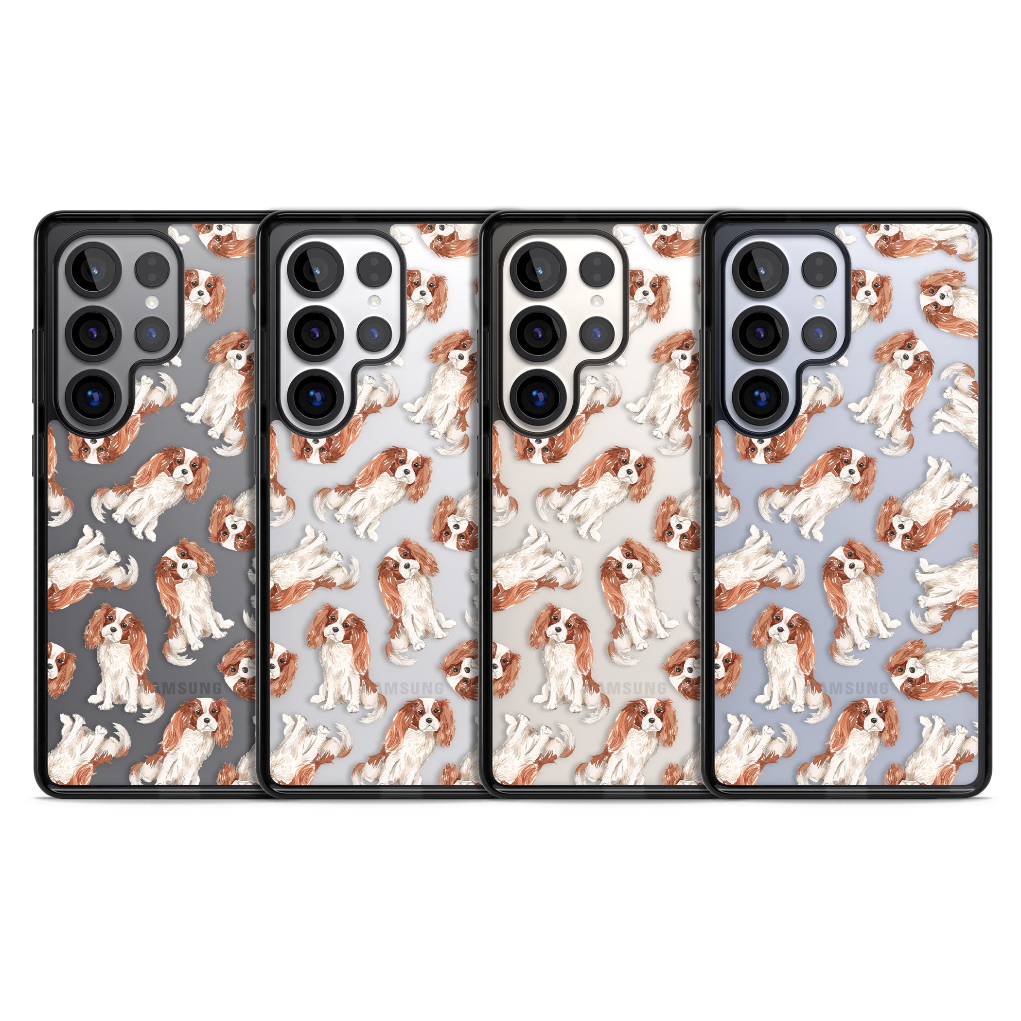 Cavalier King Charles Spaniel