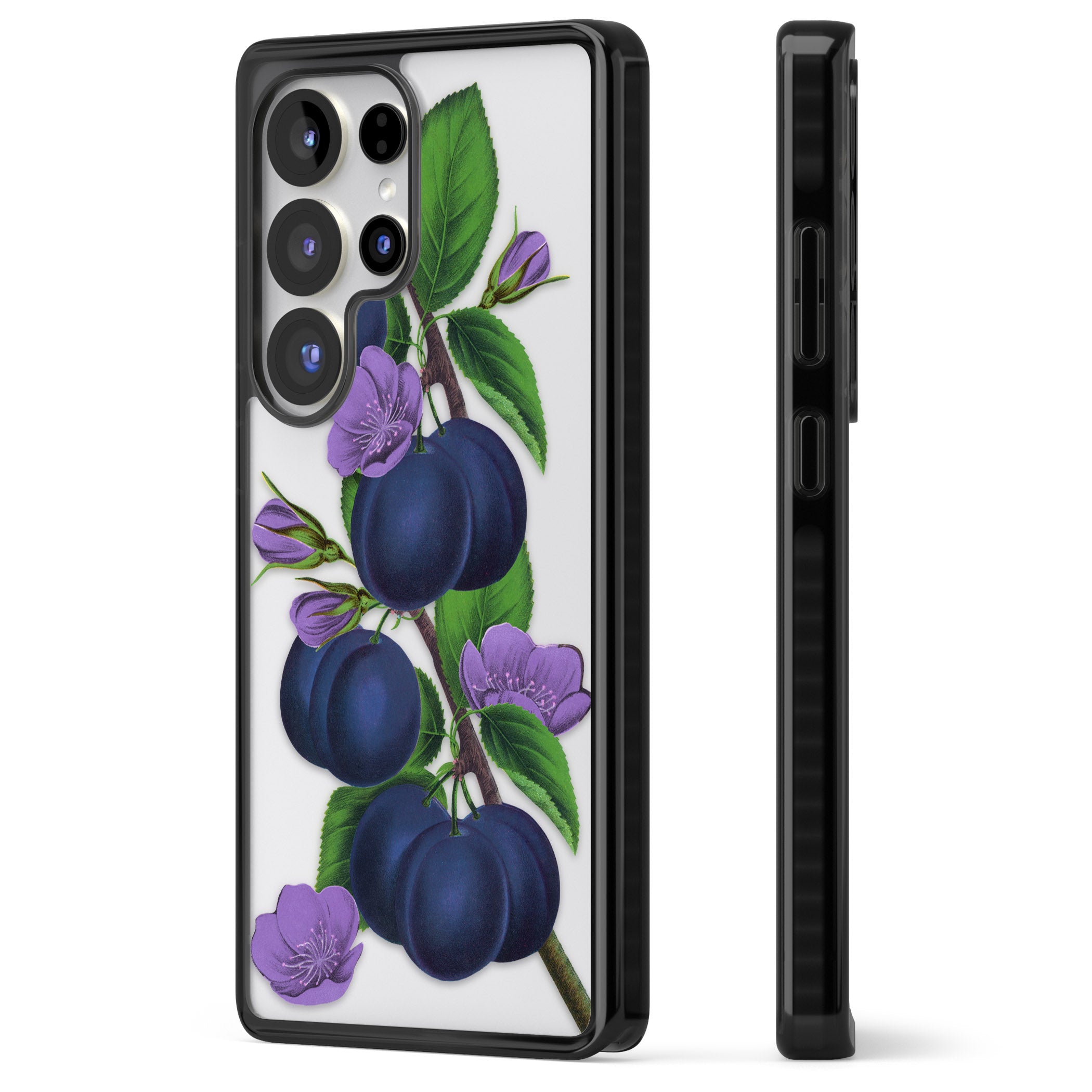 Vintage Painted Plums