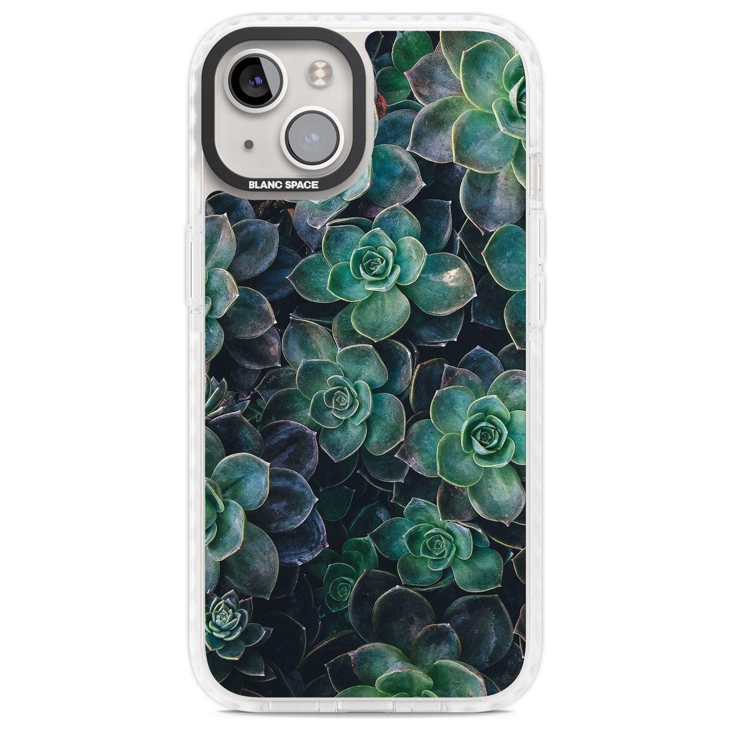 Succulent Bloom Botanical