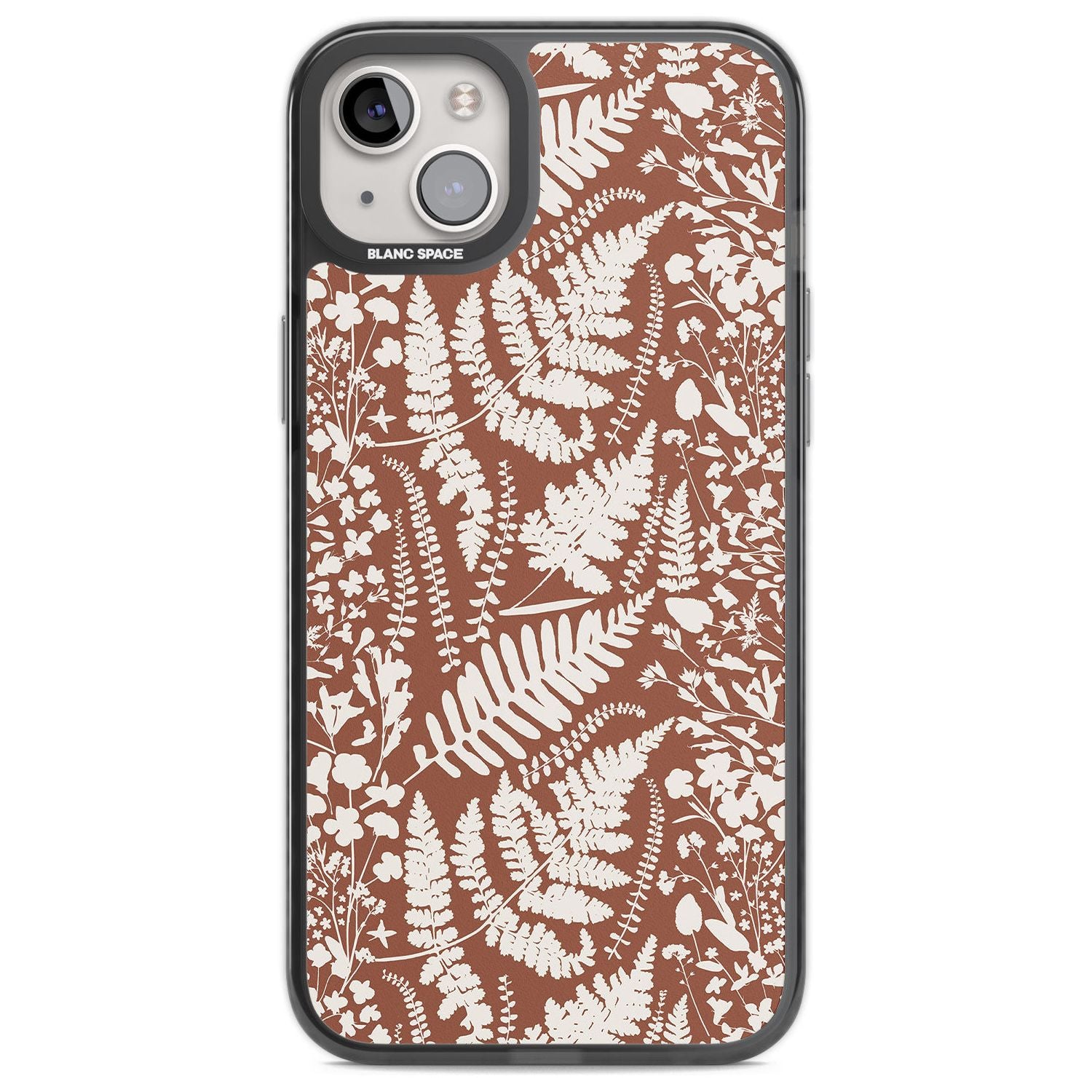 Wildflowers And Ferns On Terracotta