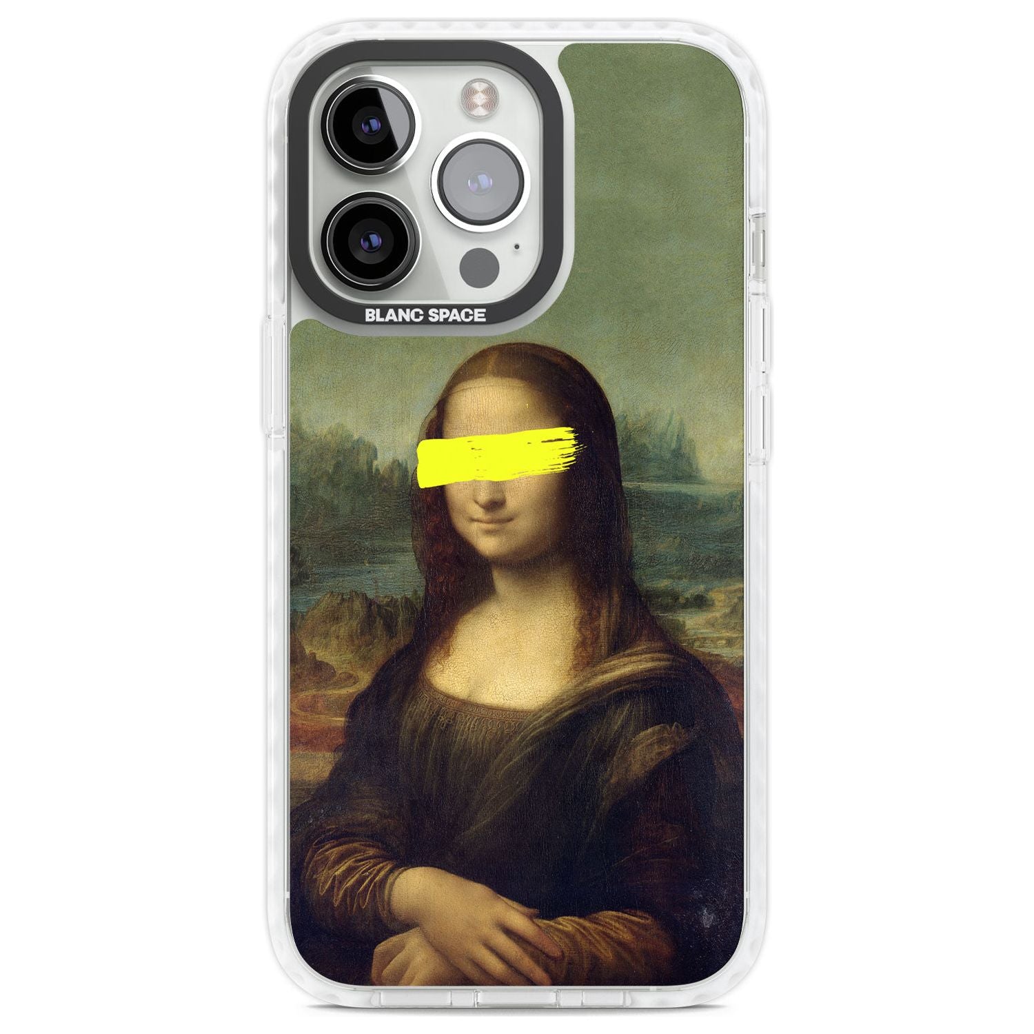 Vandaled Mona Lisa