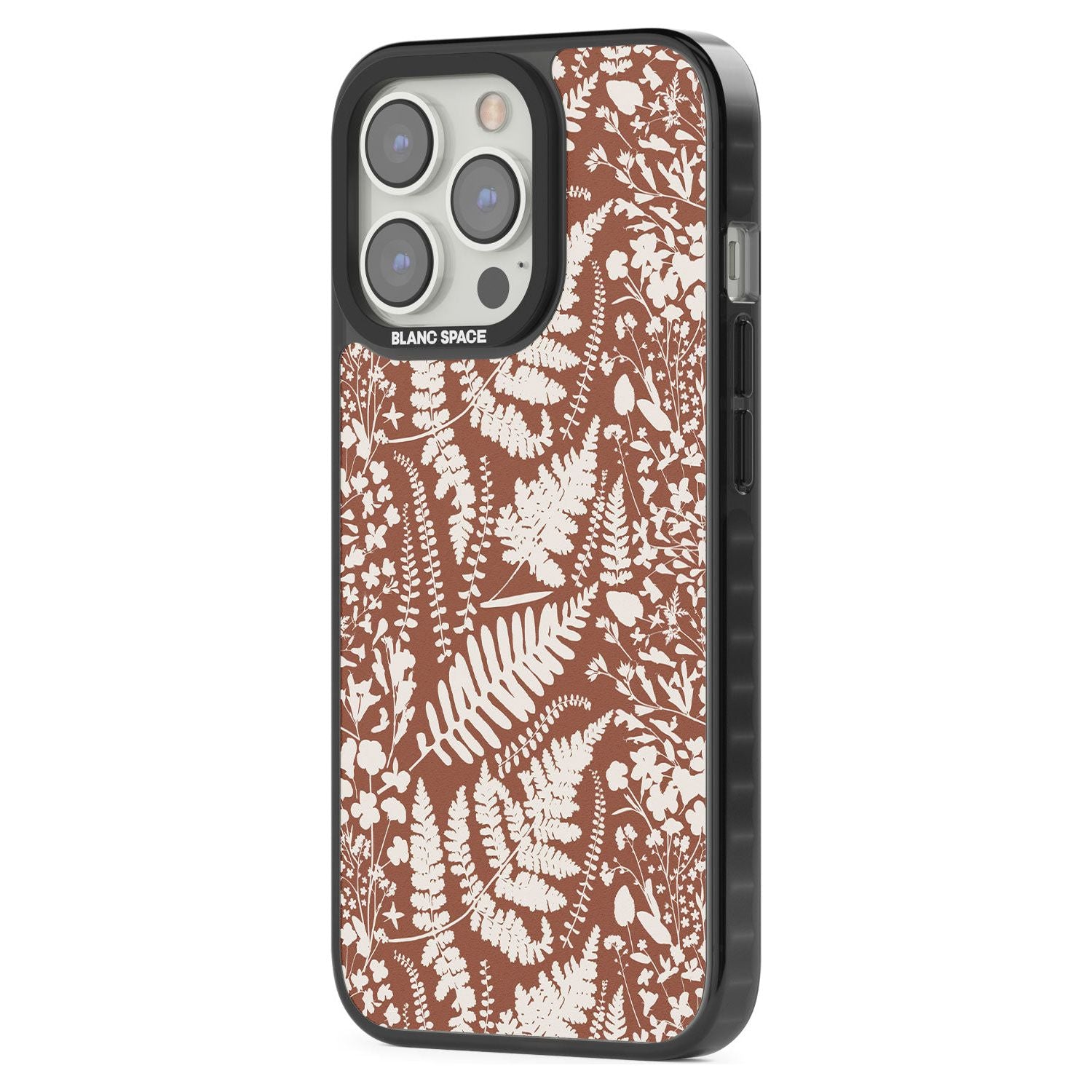 Wildflowers And Ferns On Terracotta