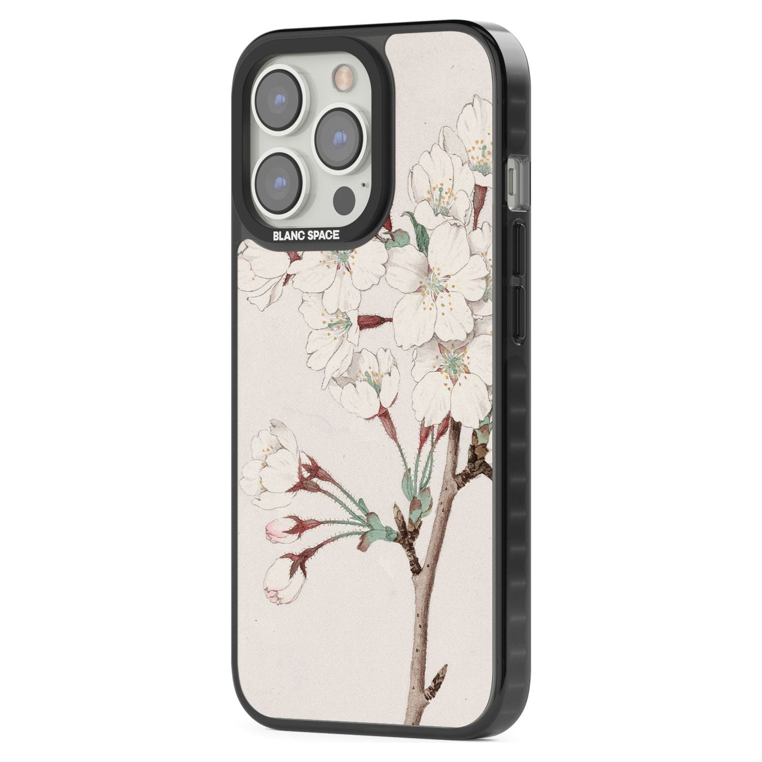 Vintage Japanese Illustrations Cherry Blossoms