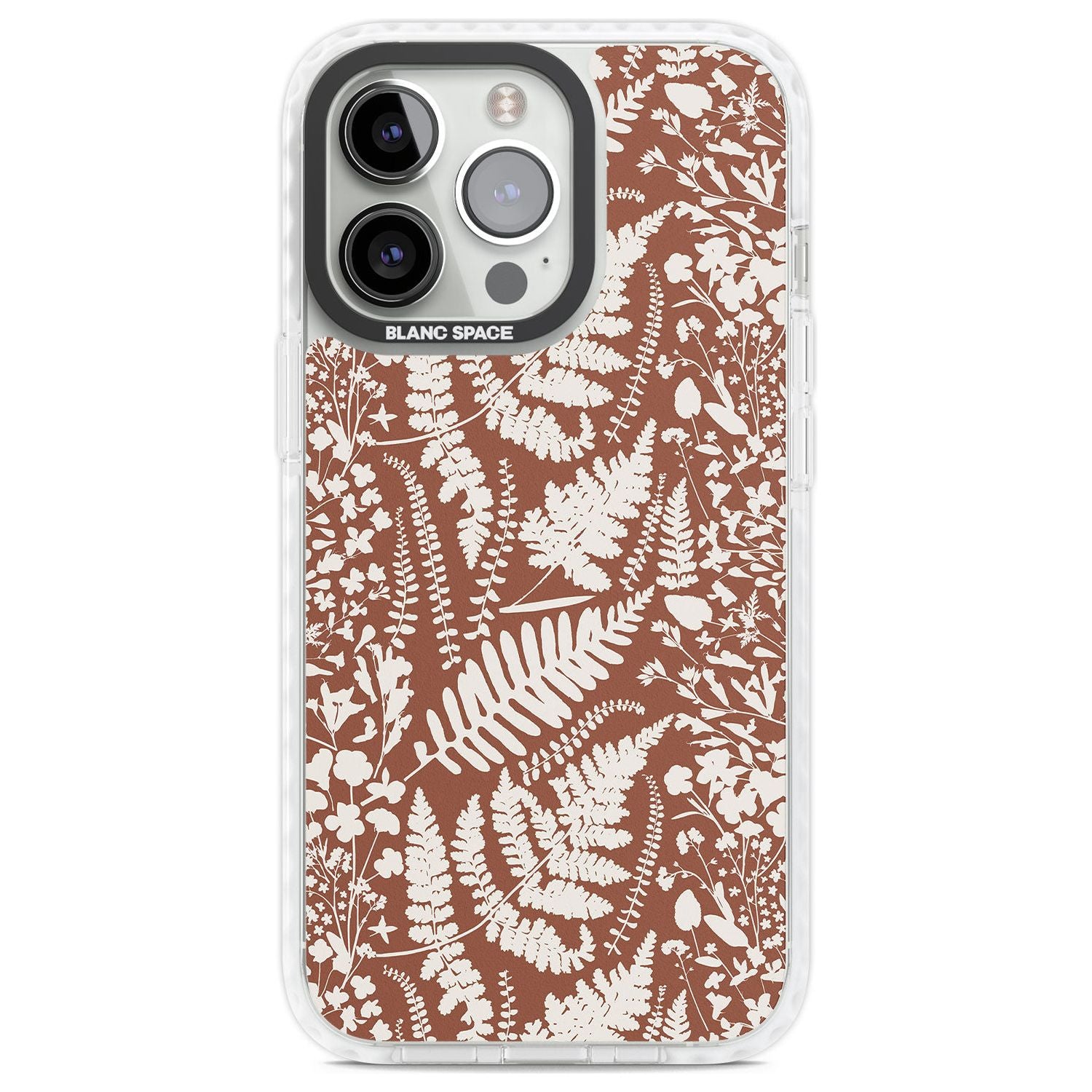 Wildflowers And Ferns On Terracotta