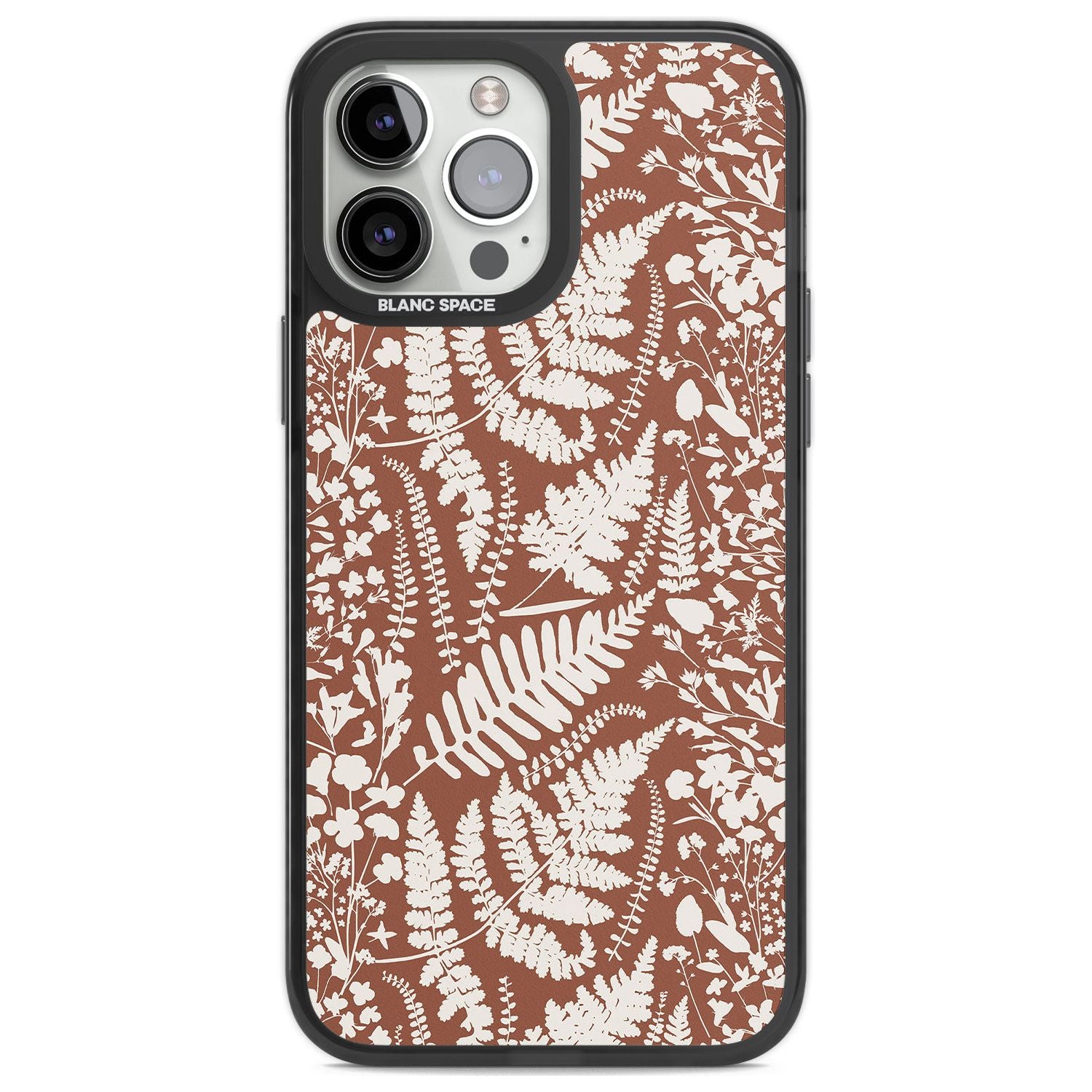 Wildflowers And Ferns On Terracotta