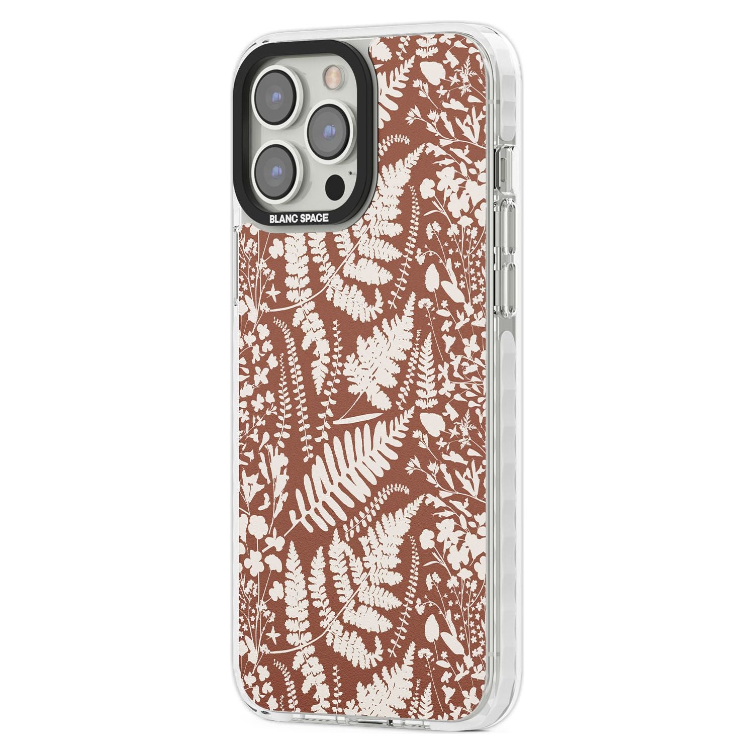 Wildflowers And Ferns On Terracotta