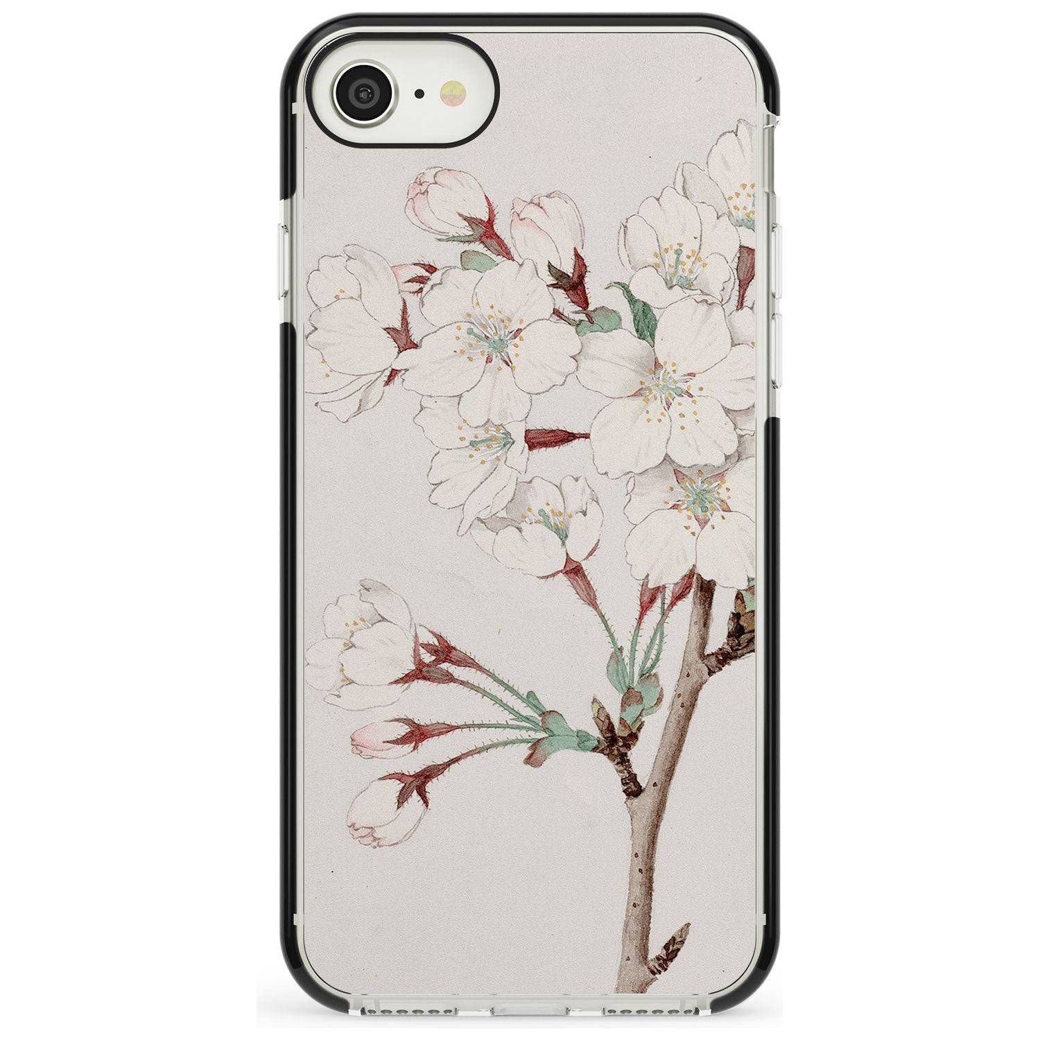 Vintage Japanese Illustrations Cherry Blossoms