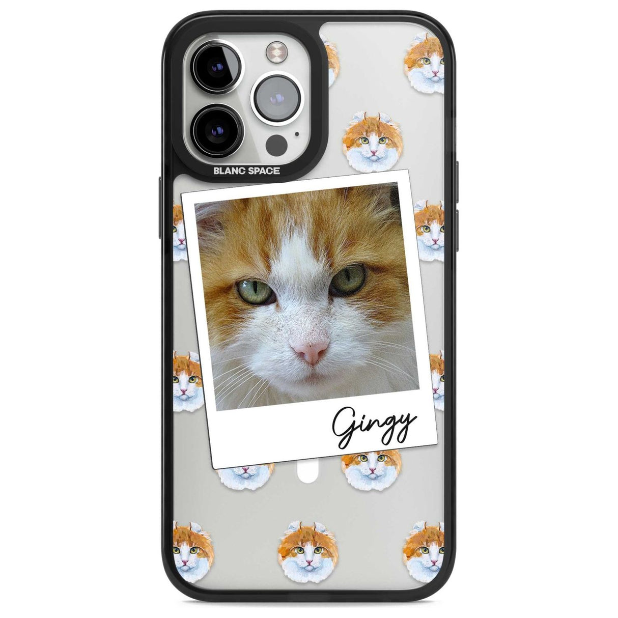 Personalised American Curl Photo Custom Phone Case iPhone 13 Pro Max / Magsafe Black Impact Case Blanc Space