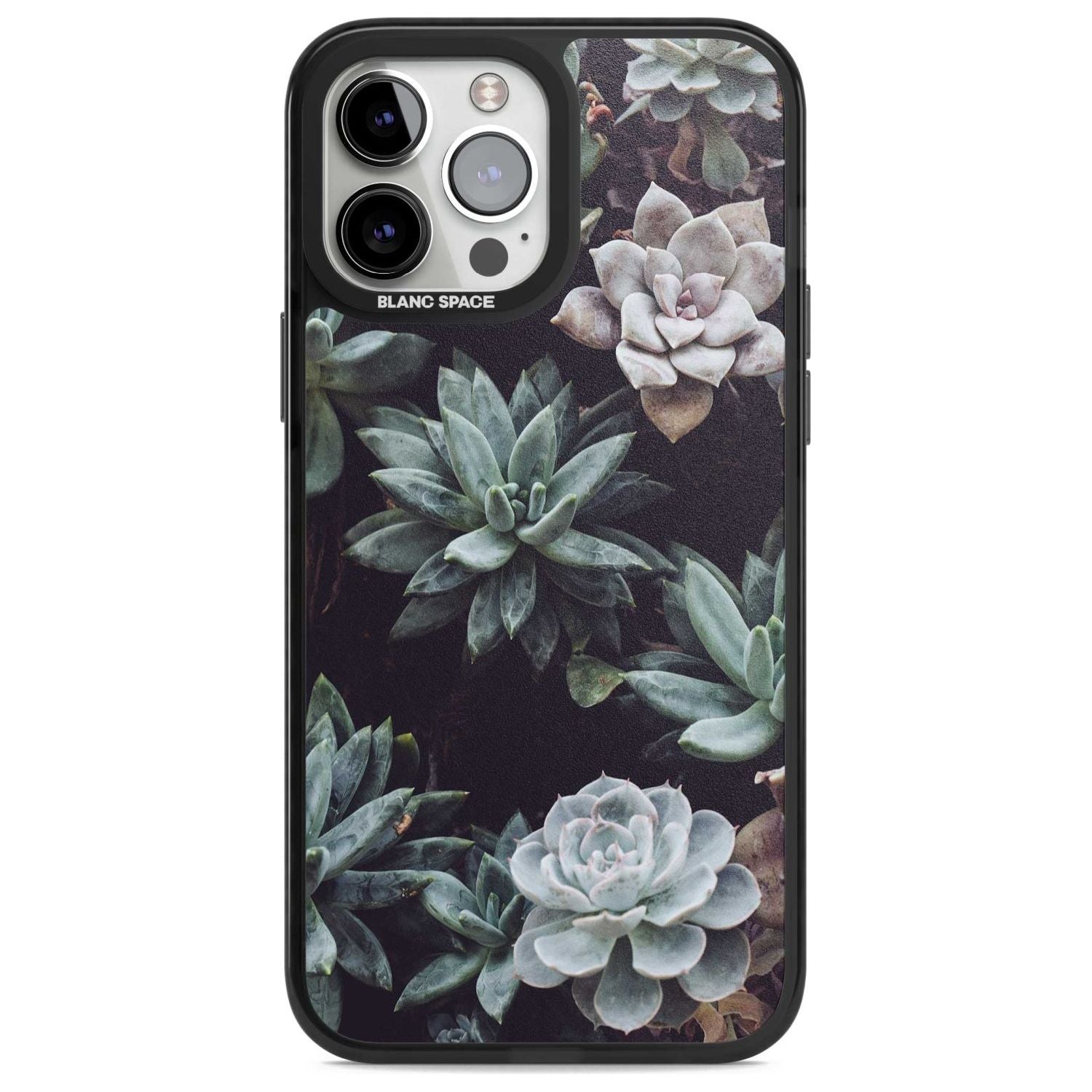 Mixed Succulents - Real Botanical Photographs Phone Case iPhone 13 Pro Max / Magsafe Black Impact Case Blanc Space