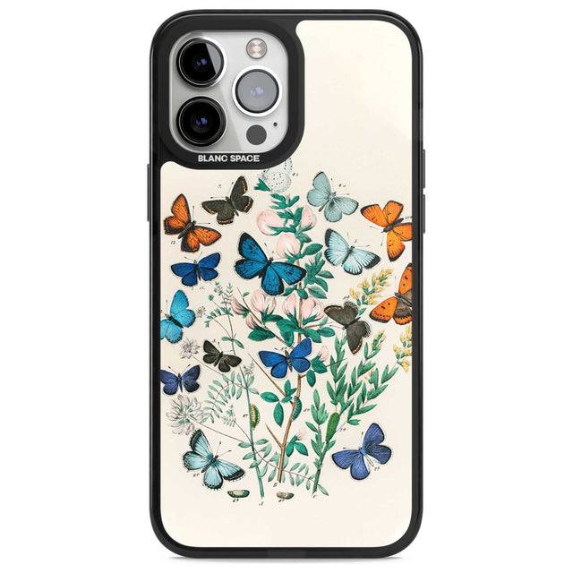 European Butterflies Phone Case iPhone 13 Pro Max / Magsafe Black Impact Case Blanc Space