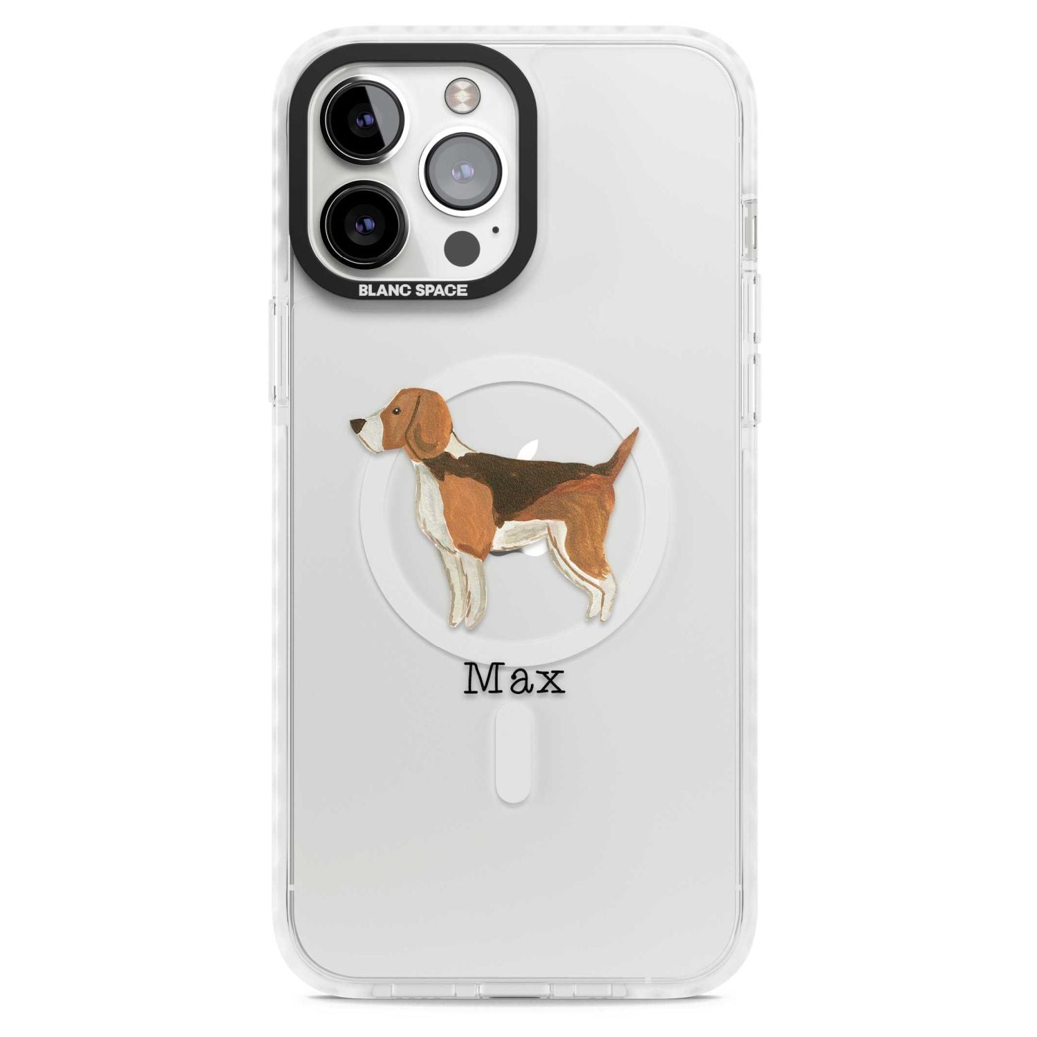 Personalised Beagle