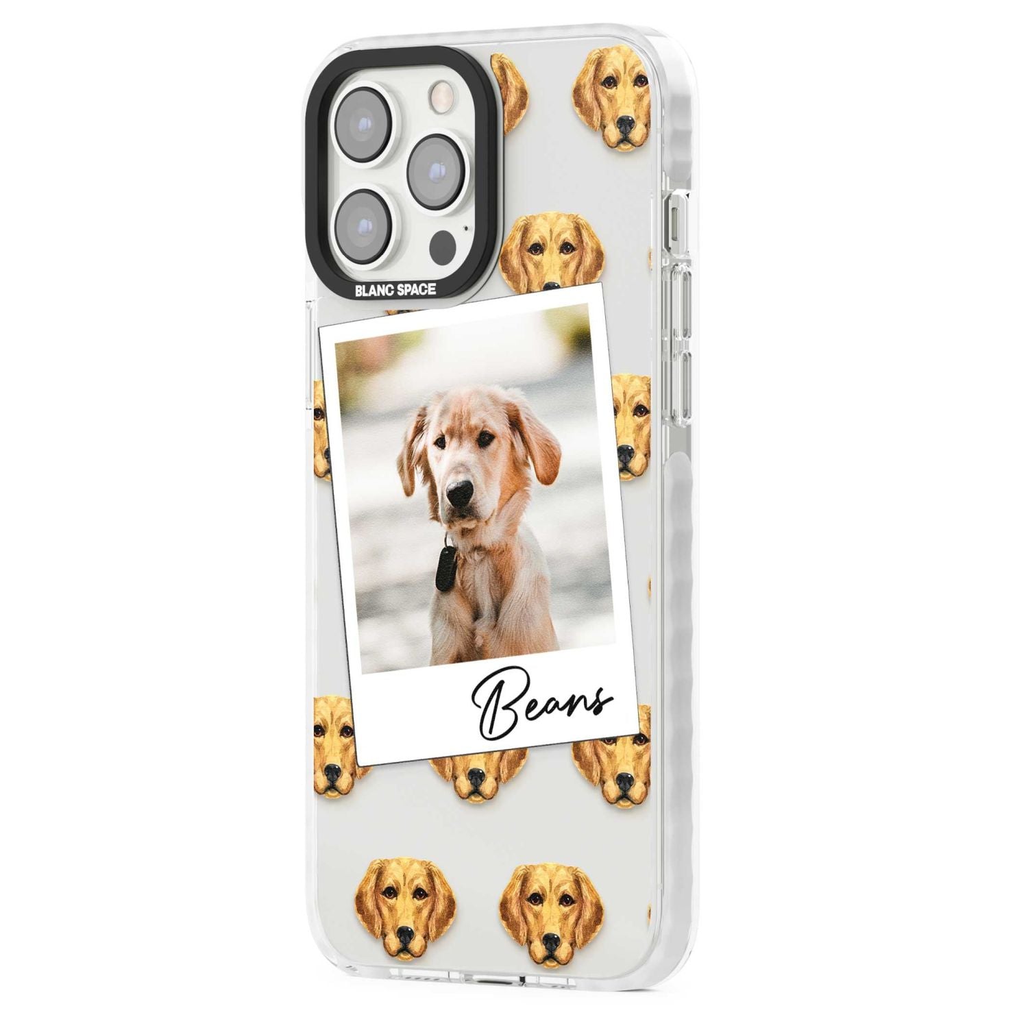 Personalised Labrador Instant Camera Photo