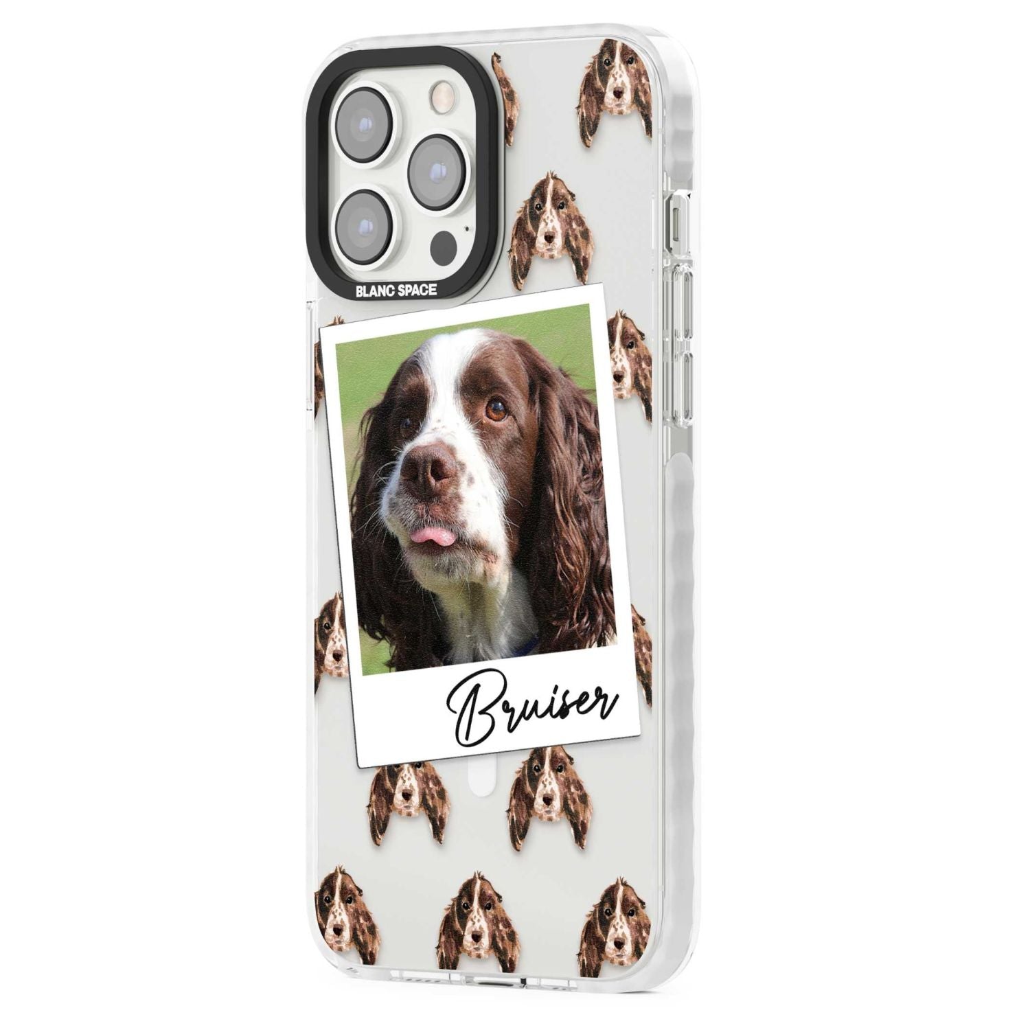 Personalised Springer Spaniel - Dog Photo