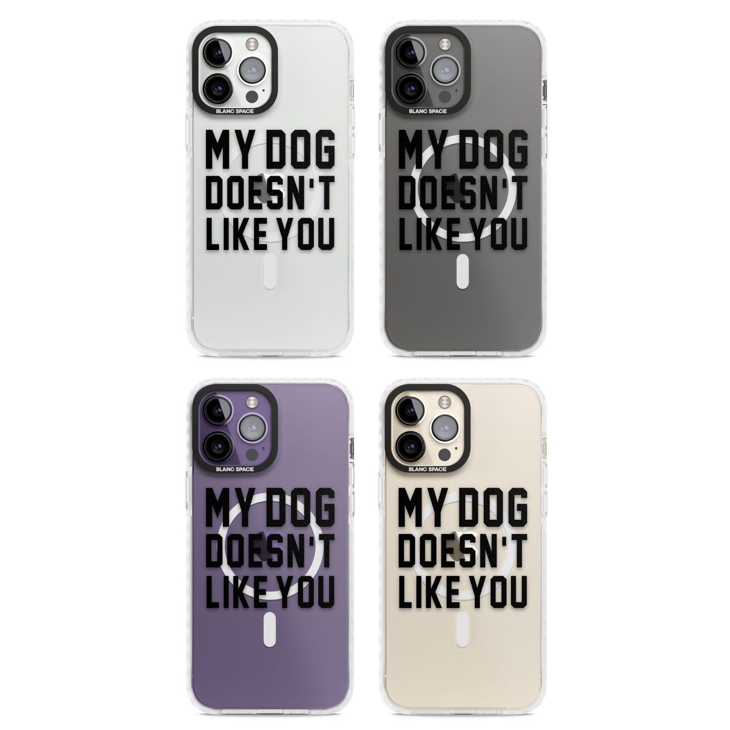 My Dog Doesn'T Like You