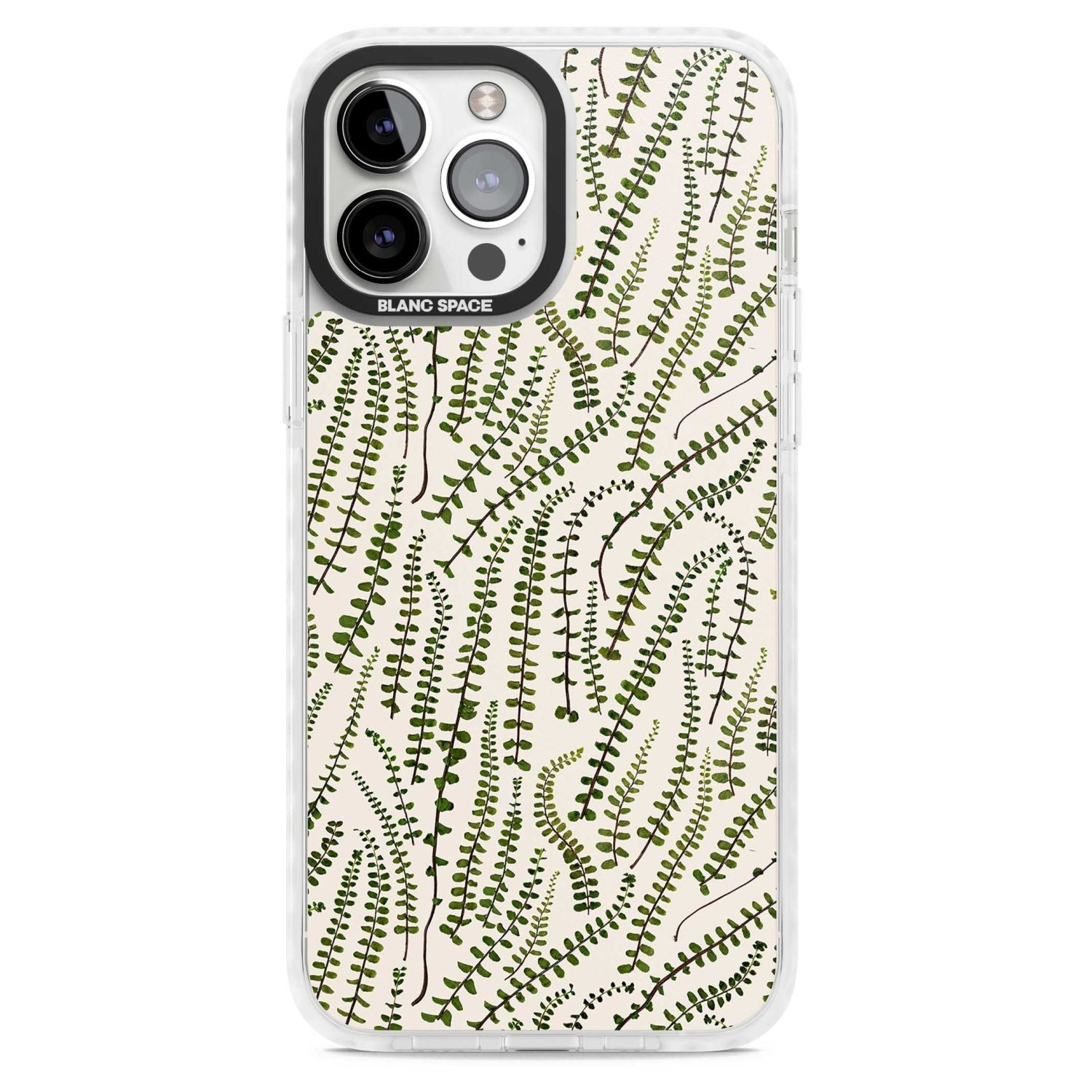 Fern Leaf Pattern