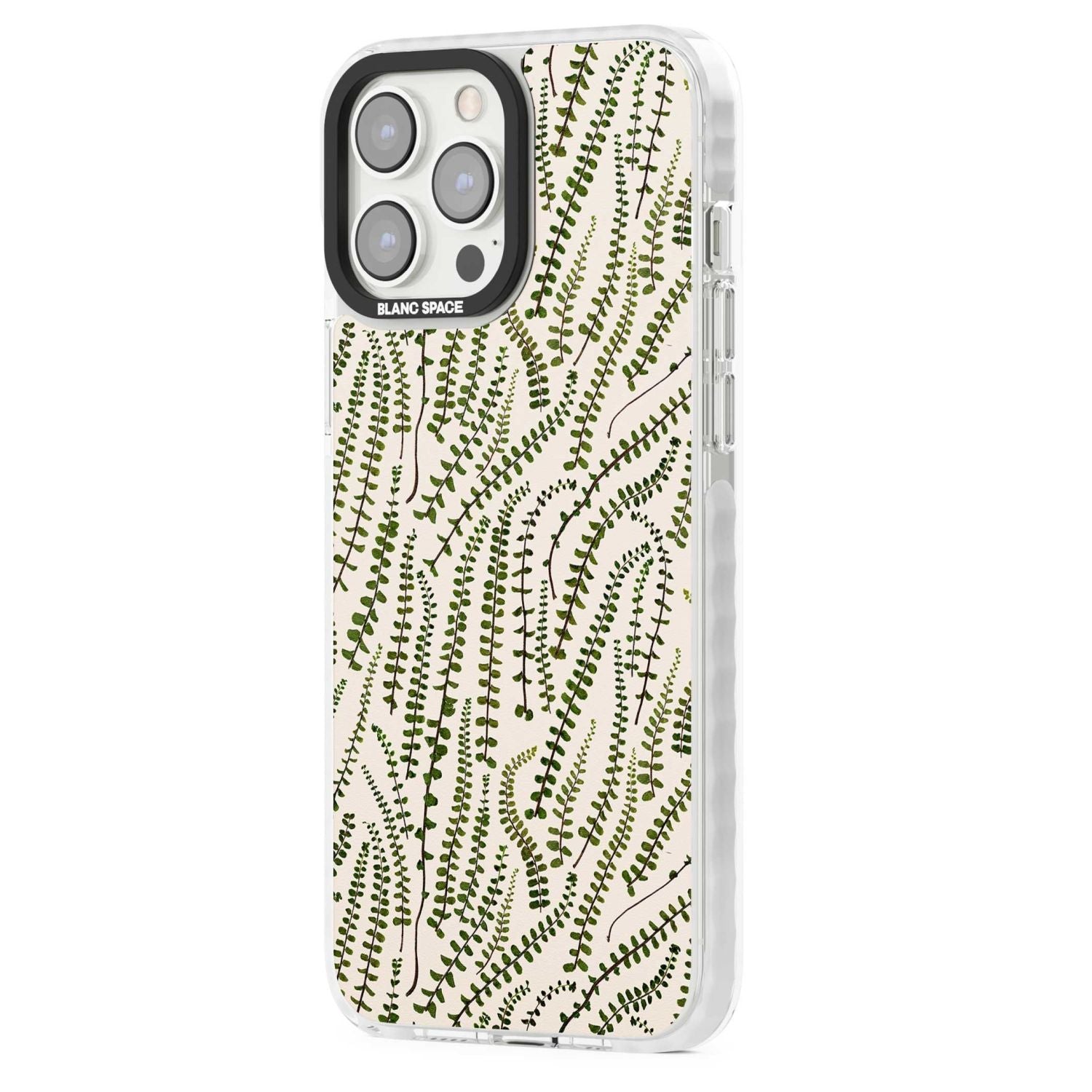 Fern Leaf Pattern