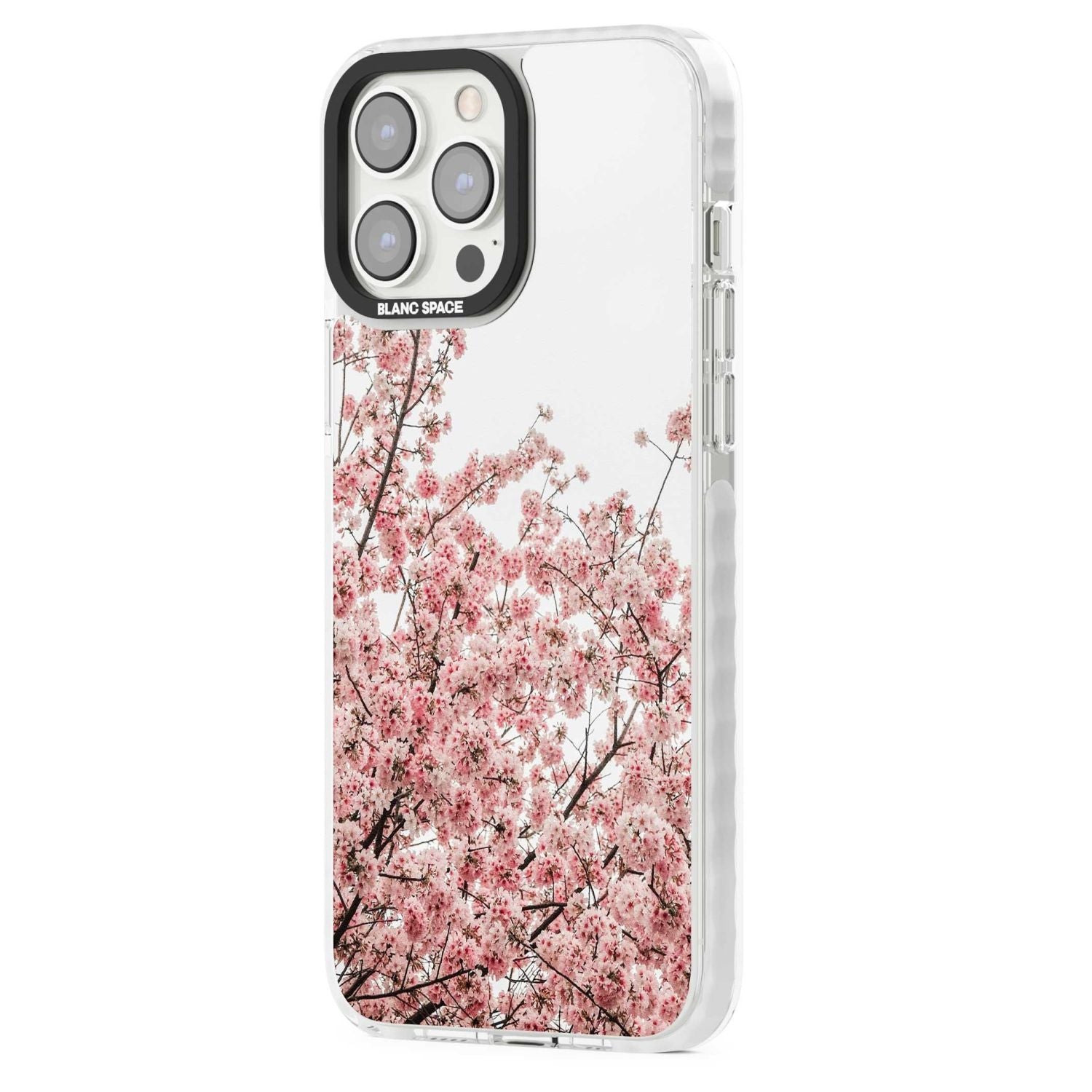 Cherry Blossoms - Real Floral Photographs