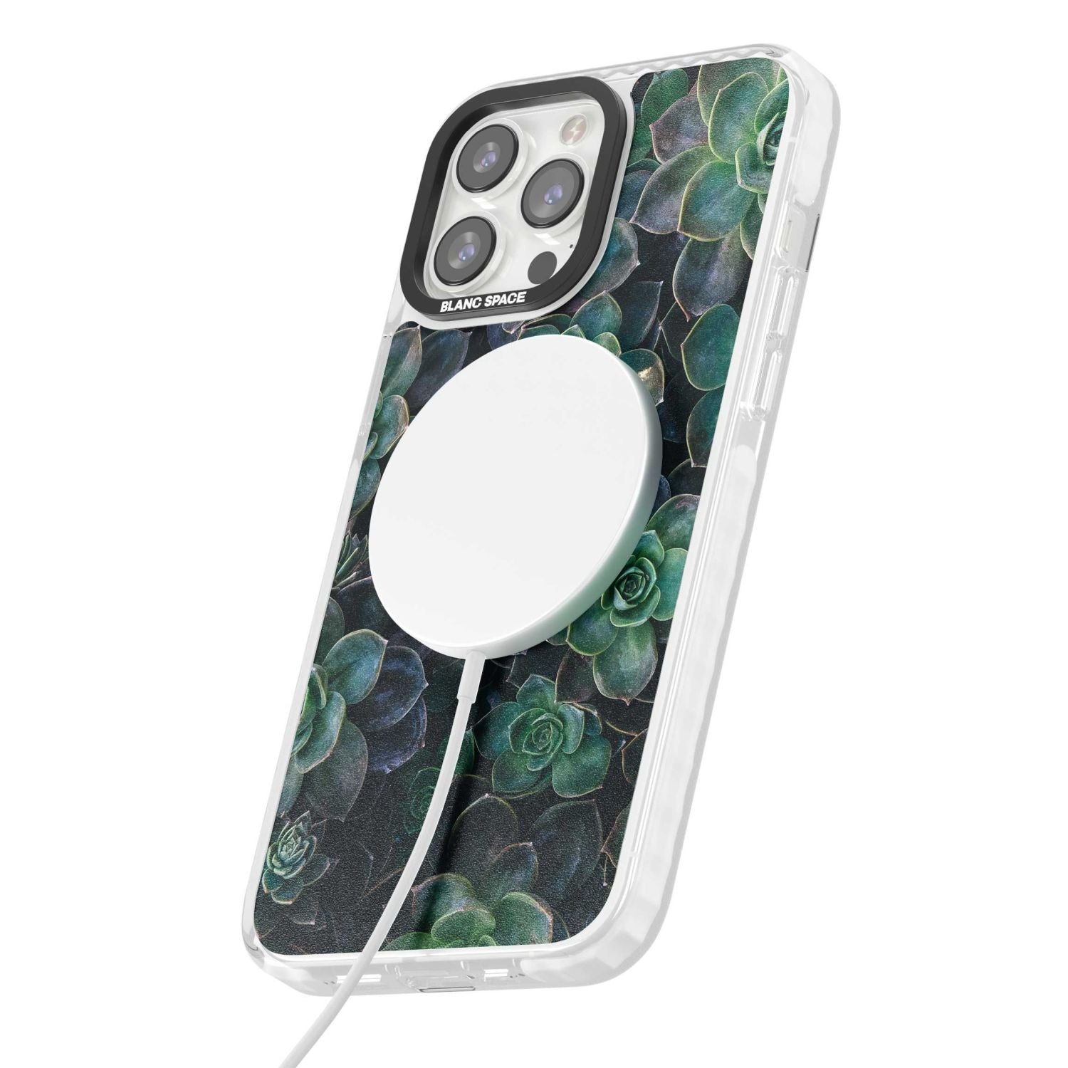 Succulent Bloom Botanical