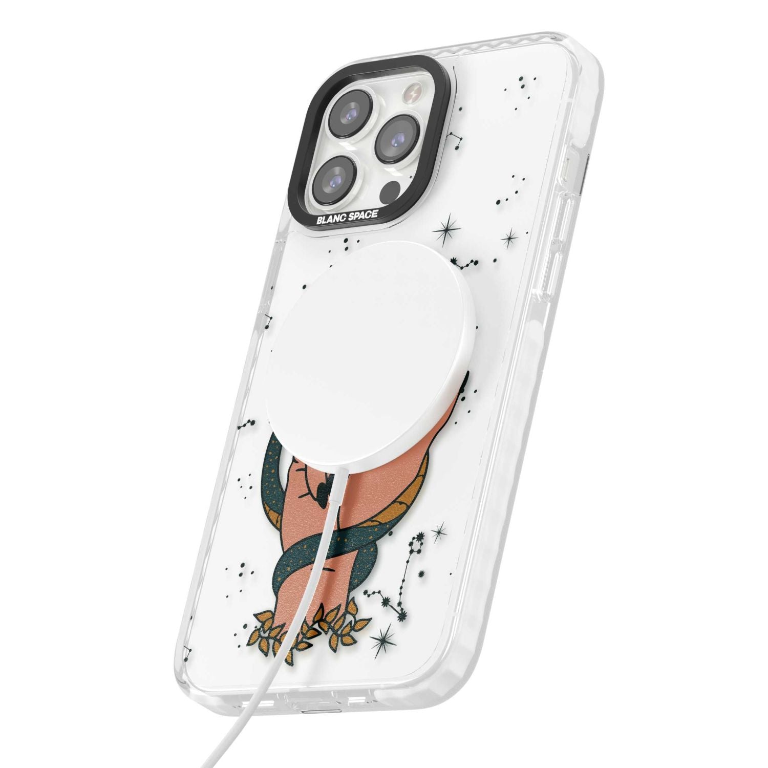 Snakes, Stars And Cynicism